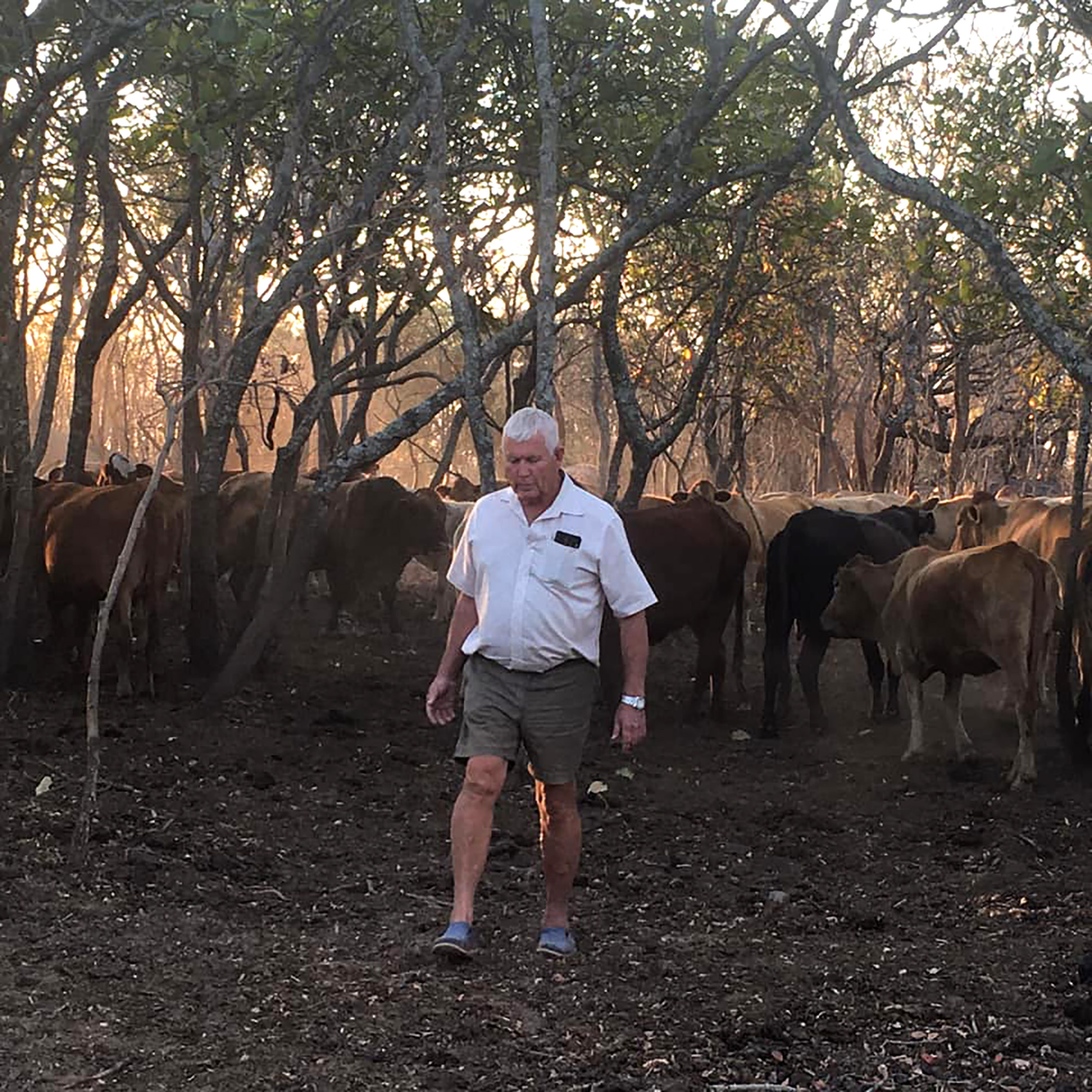 OD-fazila-farmer-evict2