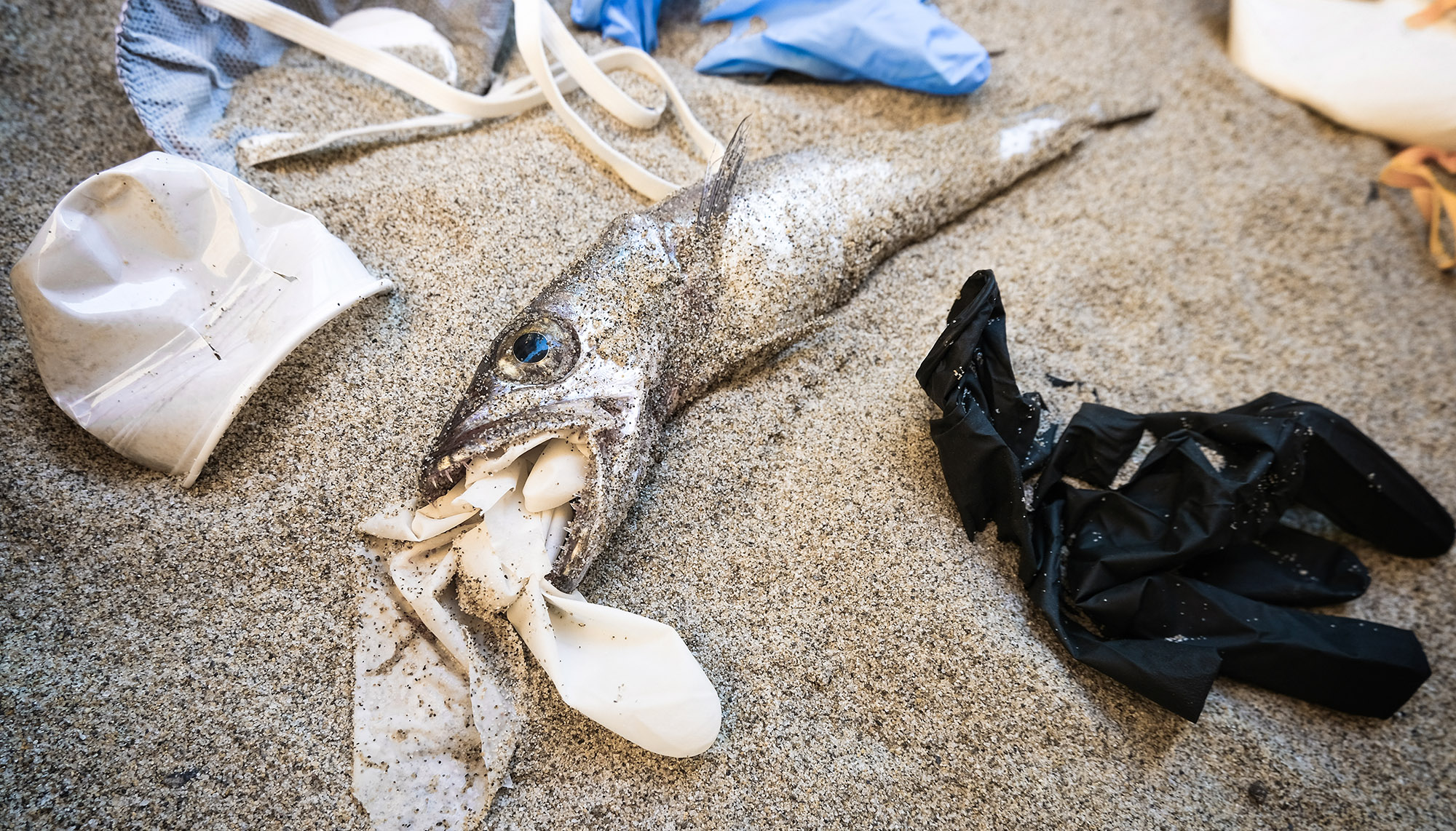 Fighting Covid-19 should not mean that we lose the war against plastic pollution