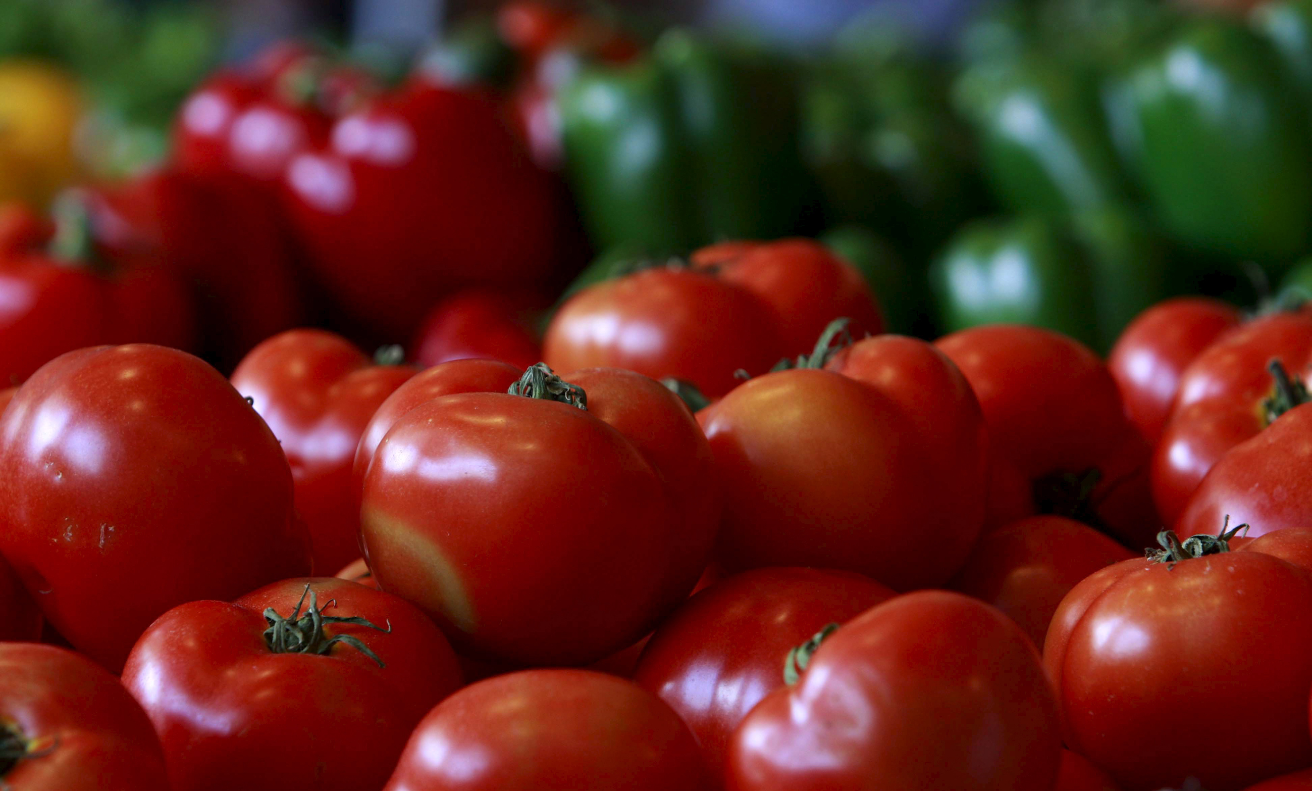 Agroecology points the way towards resilience against climate change