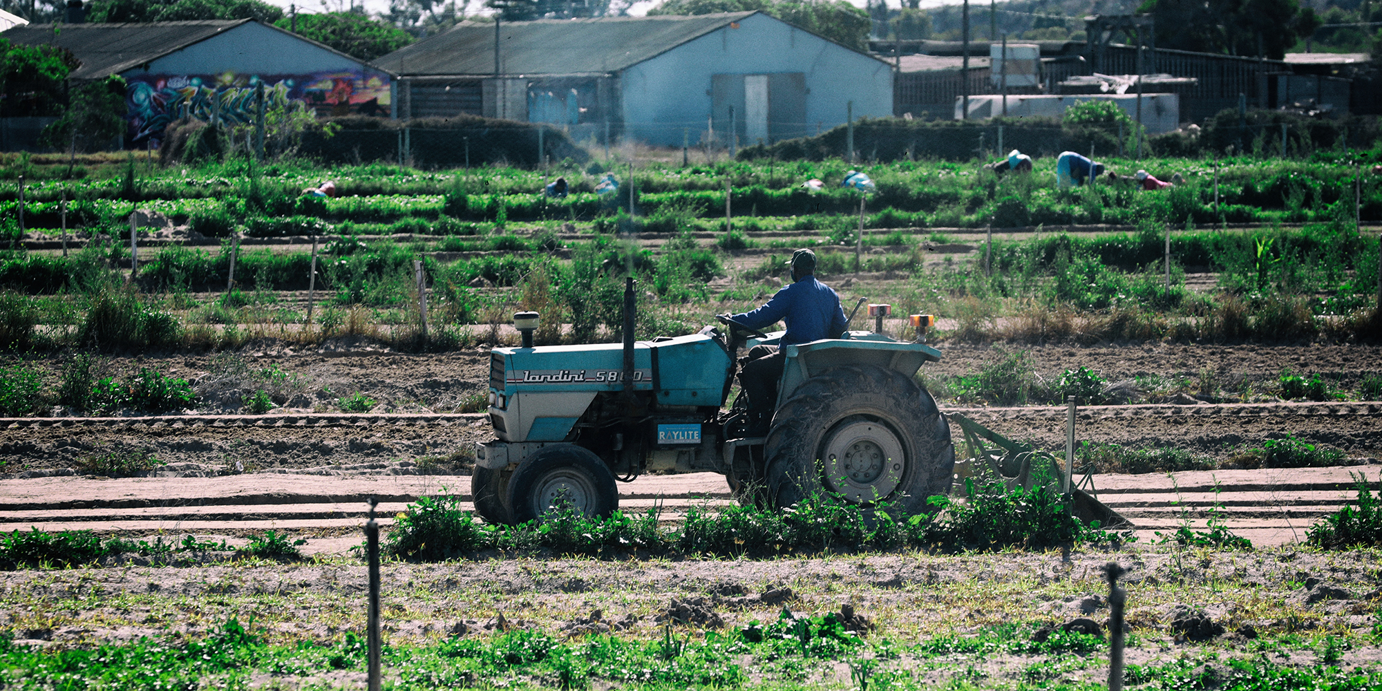 Ramaphosa’s vision of a ‘new economy’ must embrace both the climate crisis and small local producers