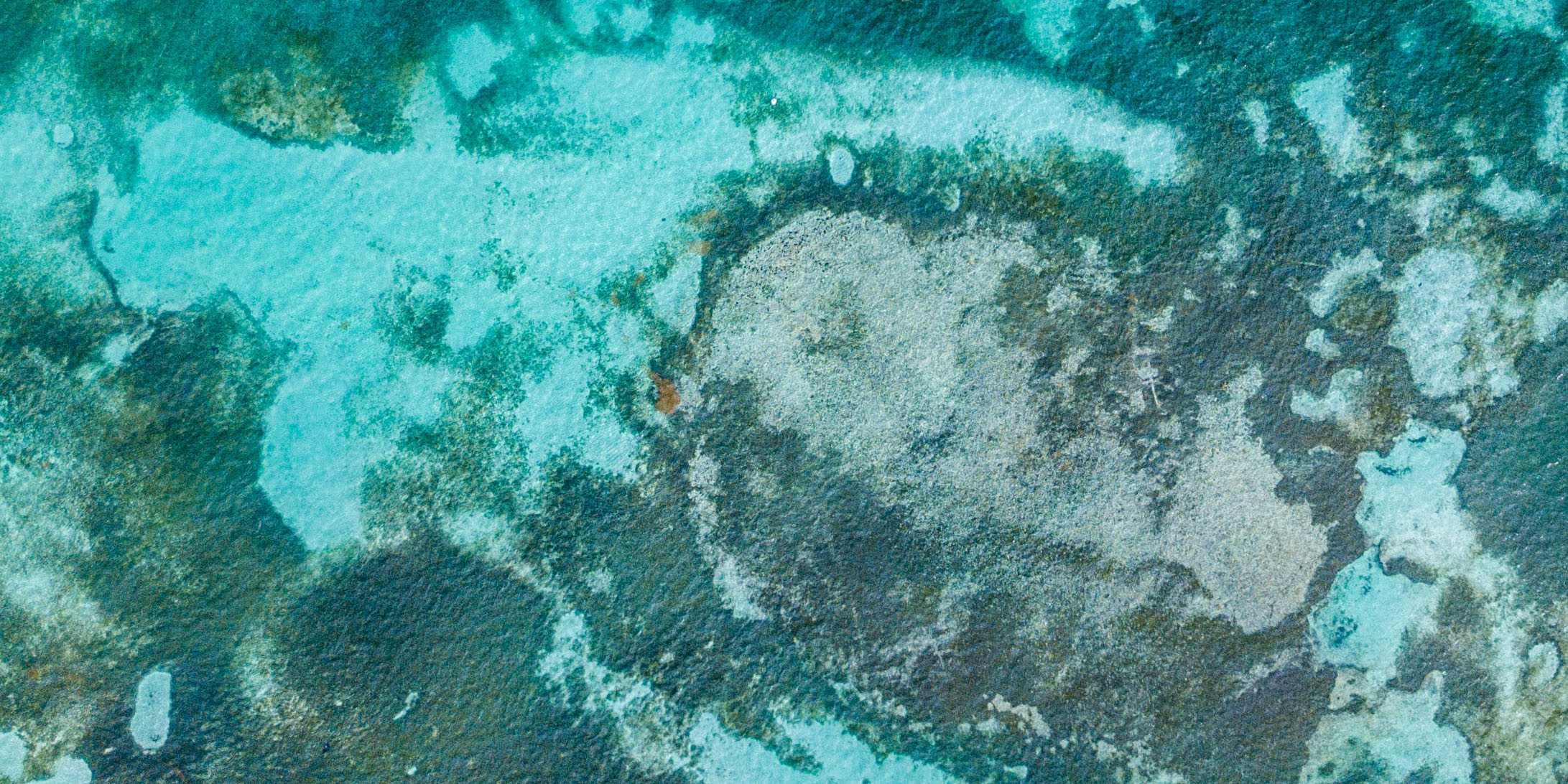 A rush is on to mine the deep seabed, with effects on ocean life that aren’t well understood