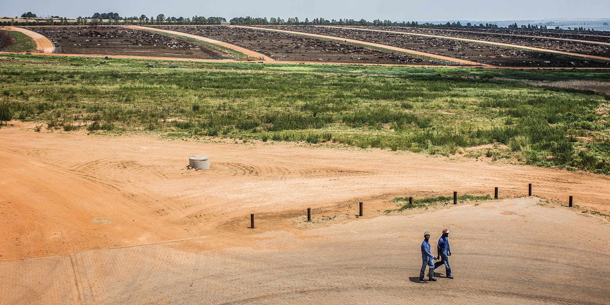 Land reform: Expropriation draft law has gaps to plug, but has potential