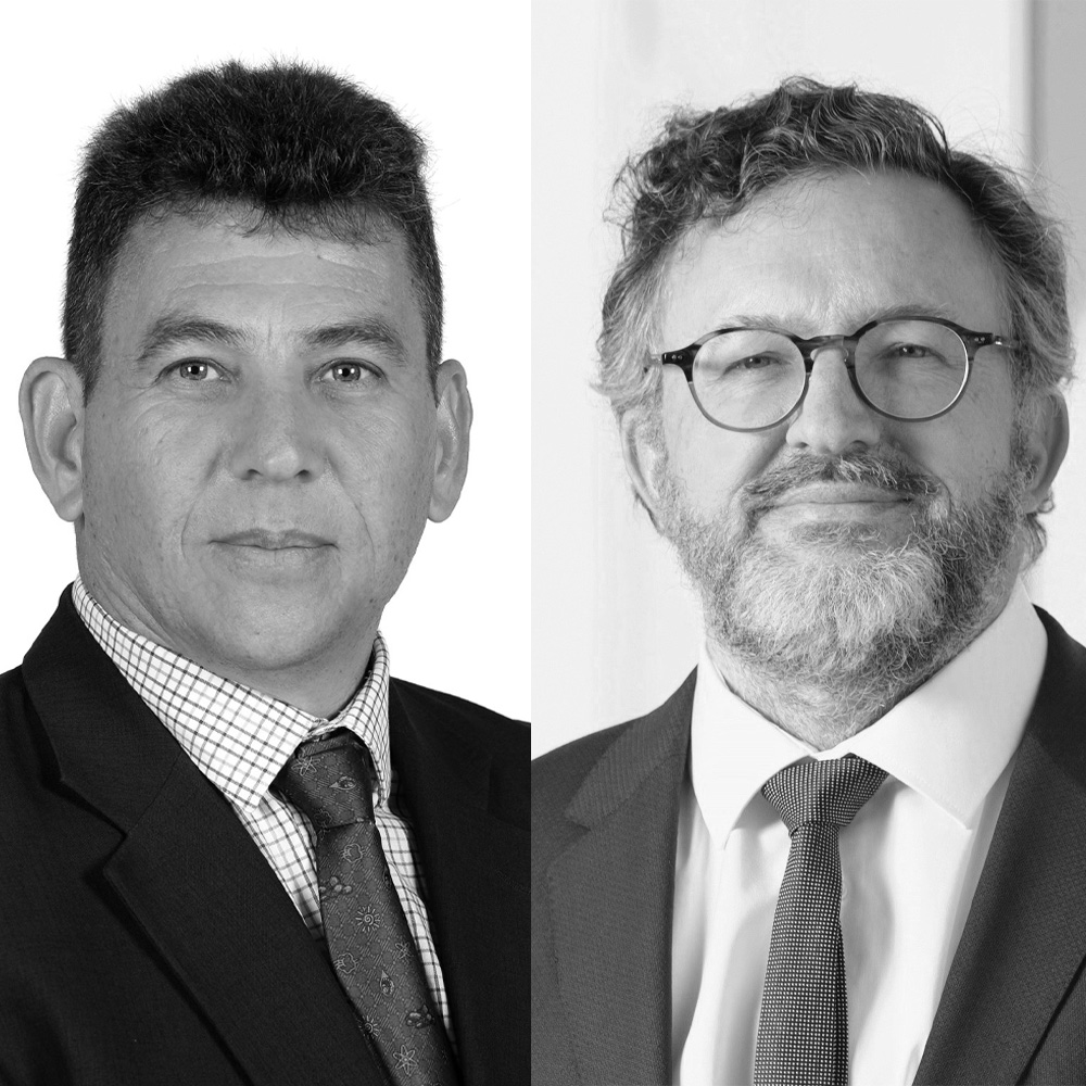 Wim Naude and Martin Cameron