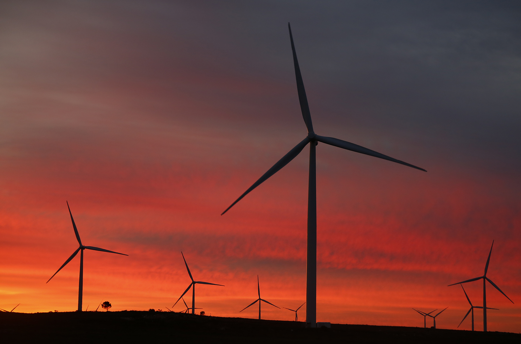 Africa needs a green economic post-Covid-19 recovery, report finds