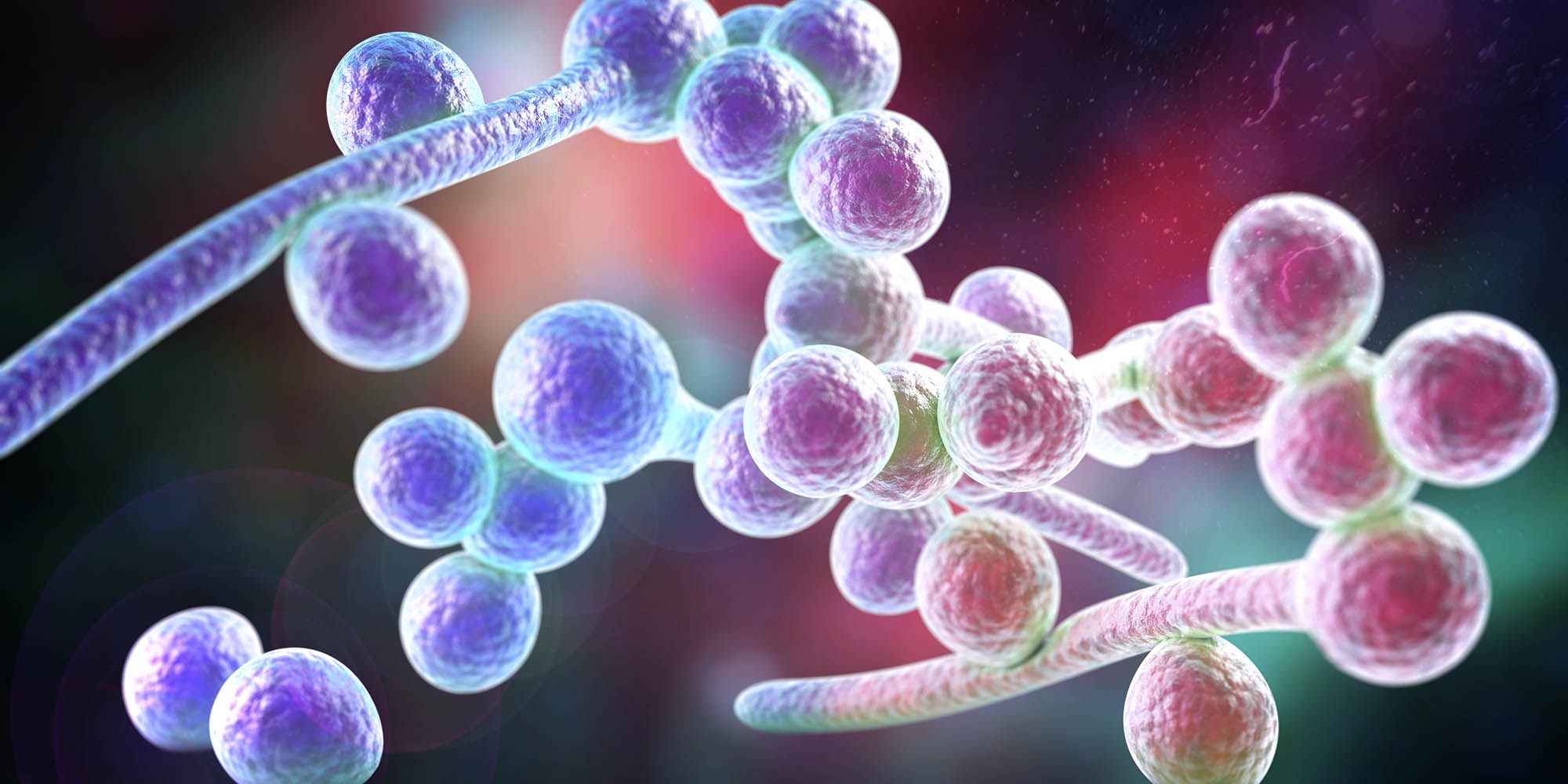 Fungal infections: The not-so-hidden health crisis threatening millions