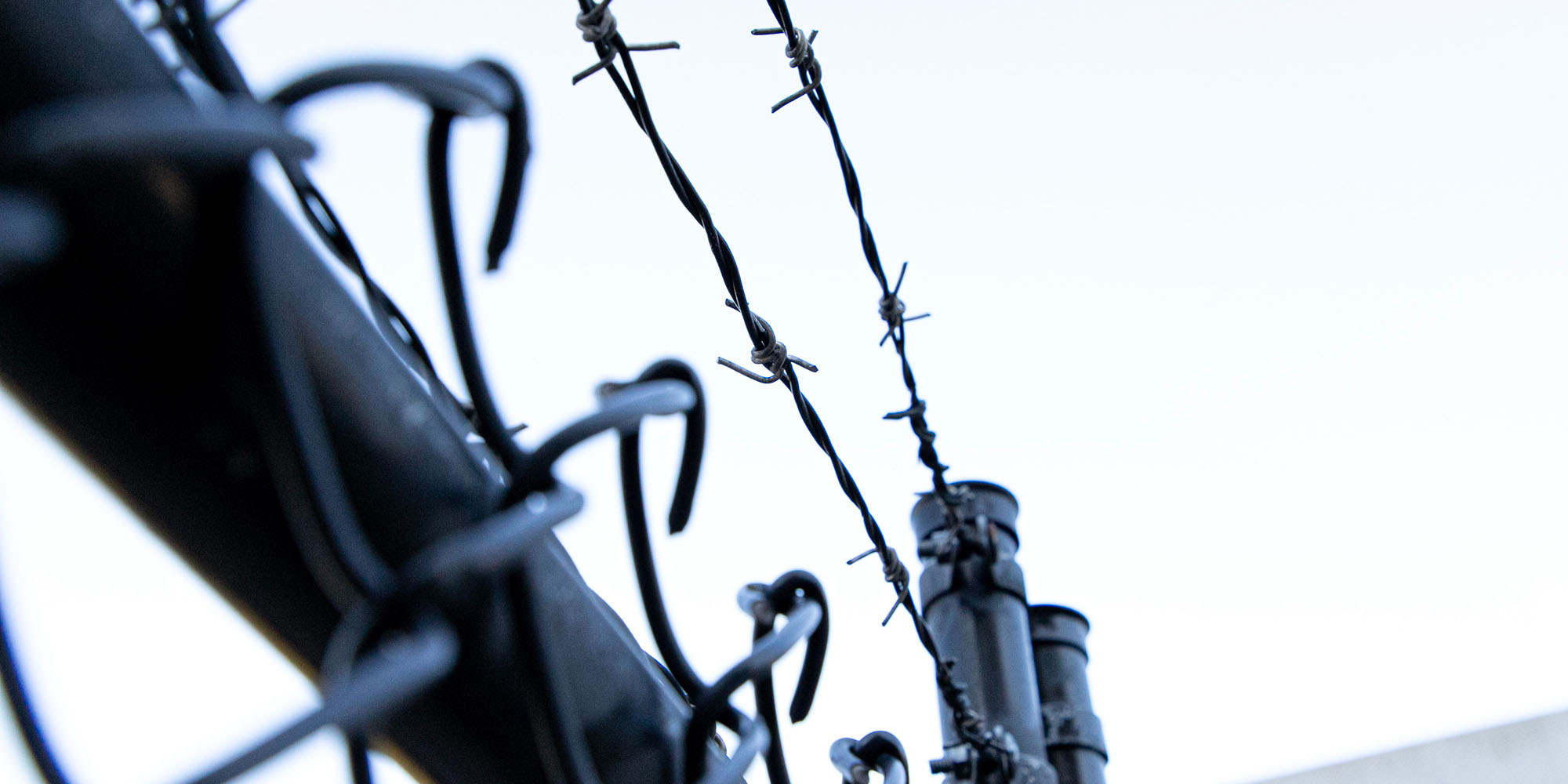 I was the barbarian at the gate of Pridwin Preparatory School