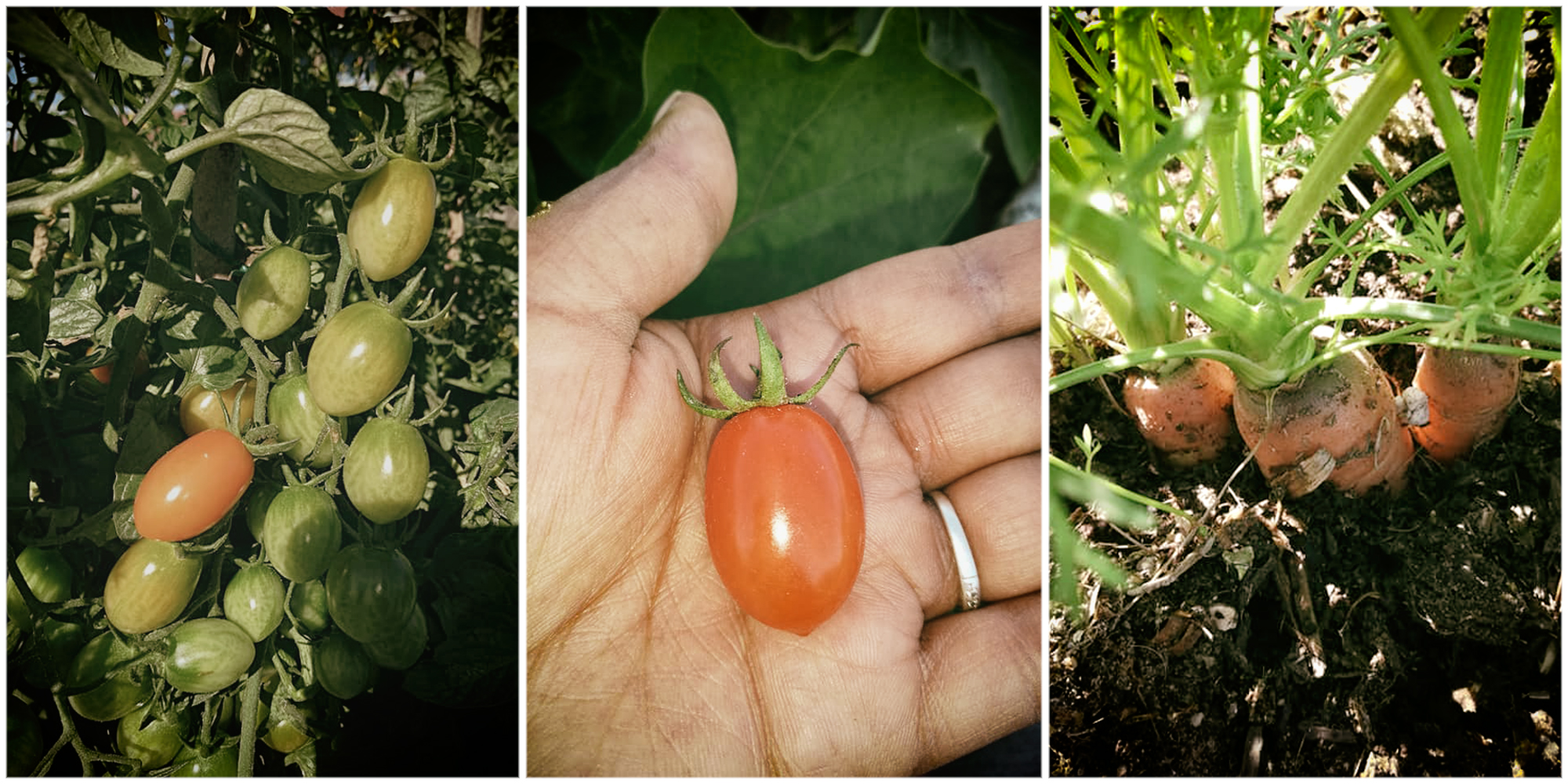 Helping to undo the red tape that ties up social entrepreneurs in bureaucratic knots