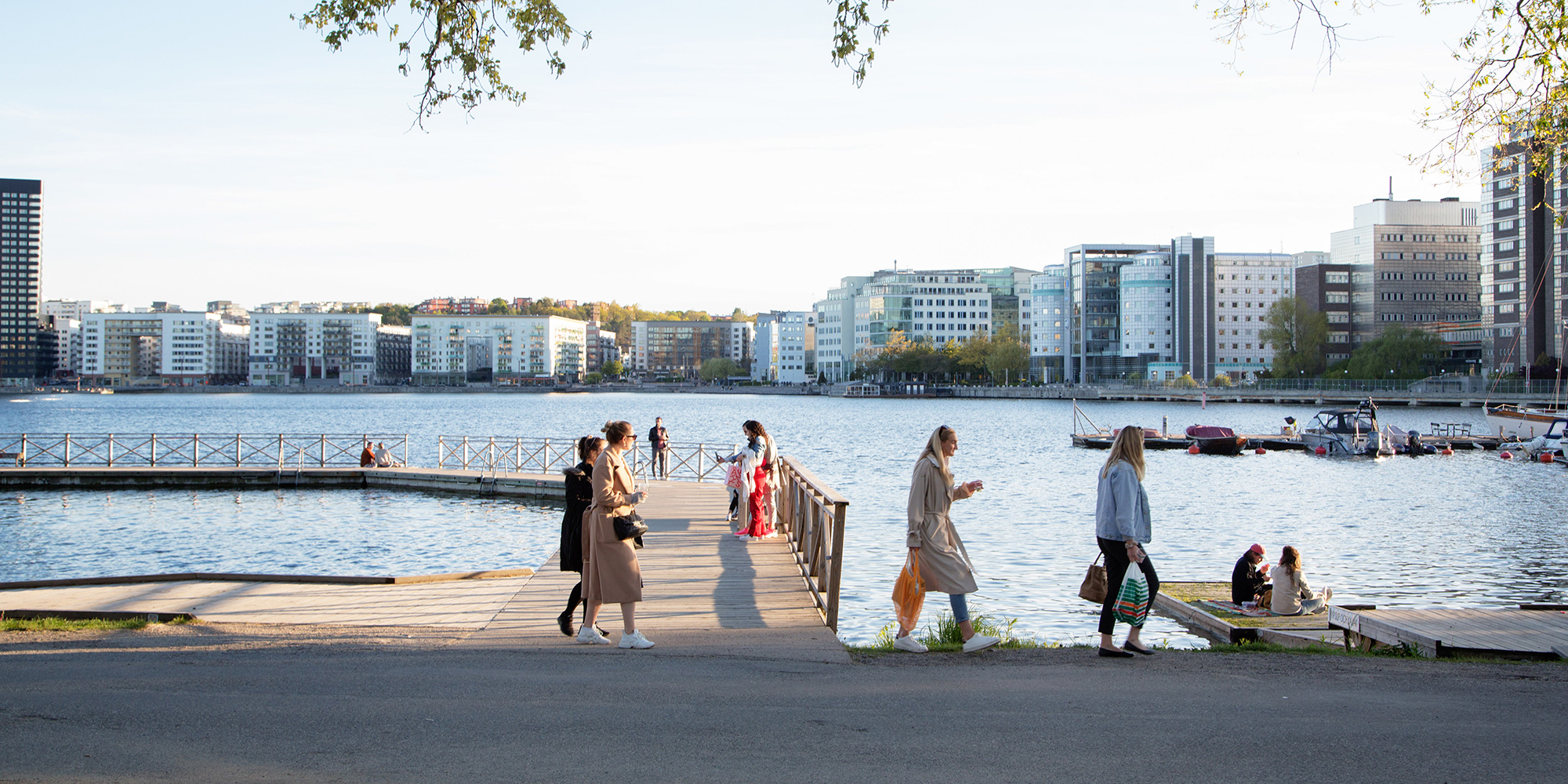 Now we are all Swedes: Covid-19, eugenics and sacrificing the ‘older older’