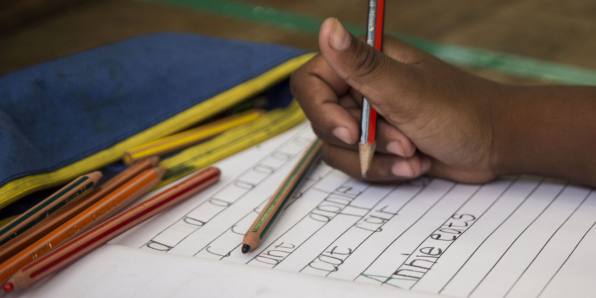 Grades R to 3 curriculum for coding, robotics ready to go - Motshekga