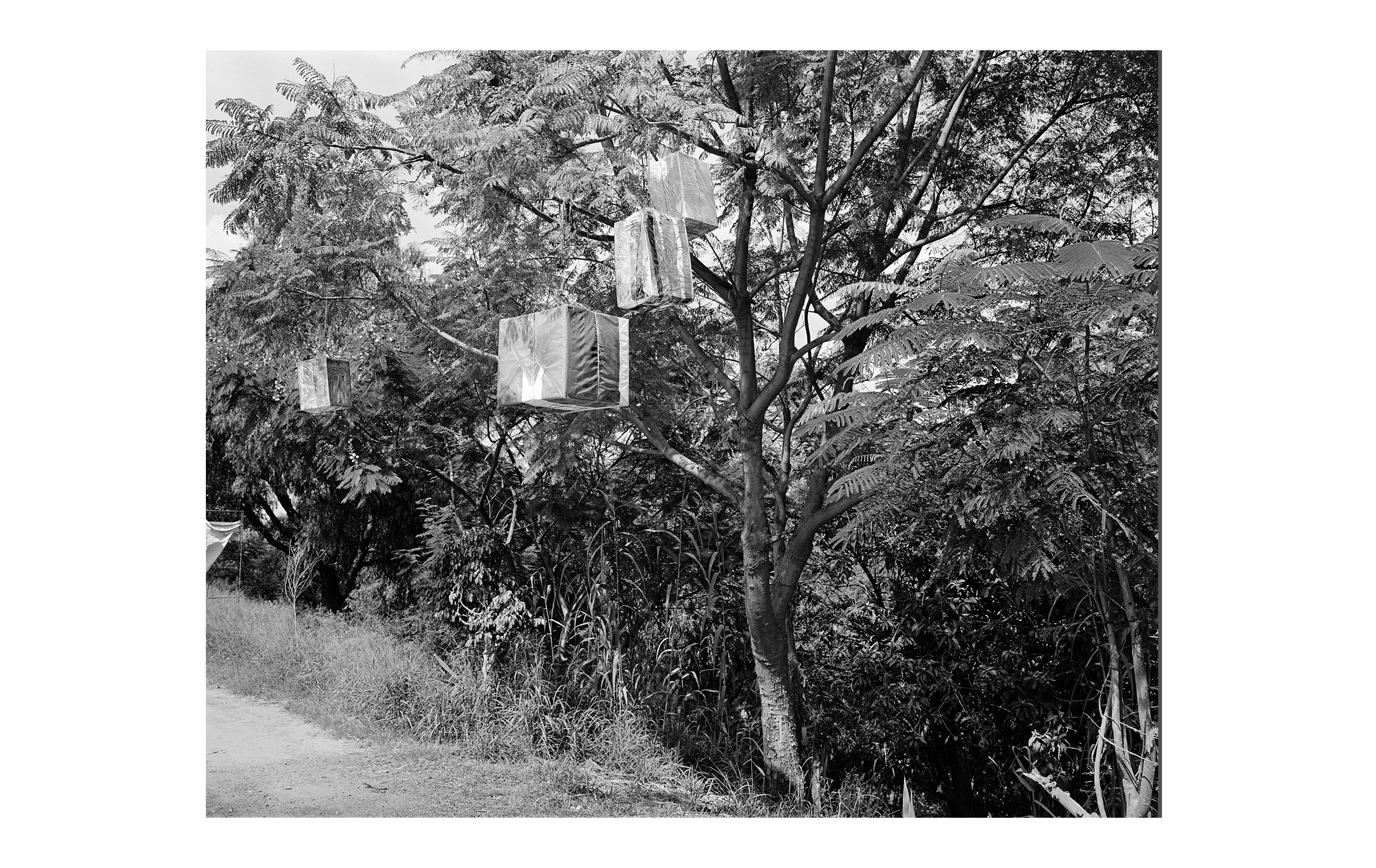 Unlocked: Poems for Critical Times (Series Two, Part Six)