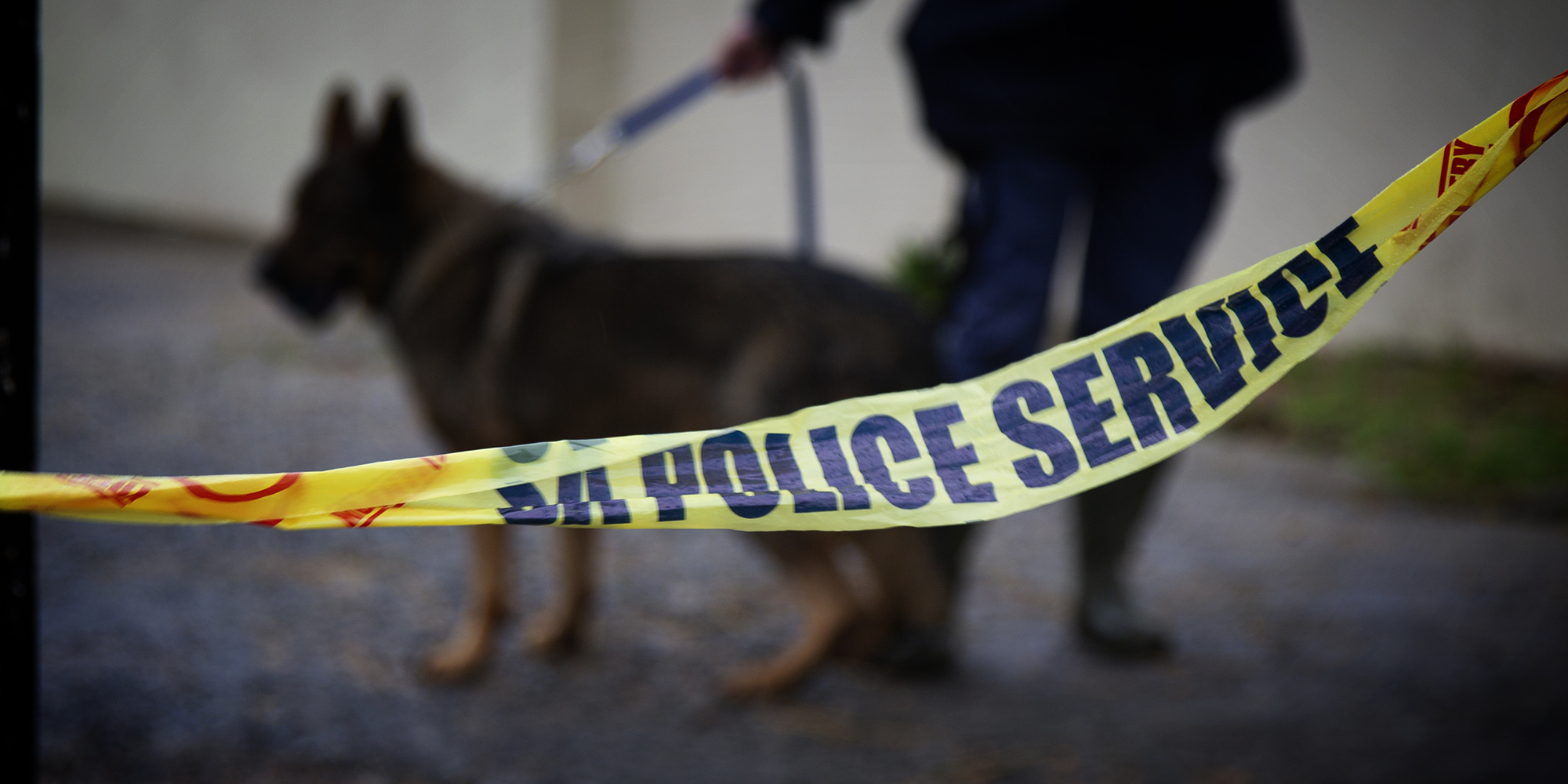 Kliprivier kidnapping cell was funding Islamic State terrorism, say sources