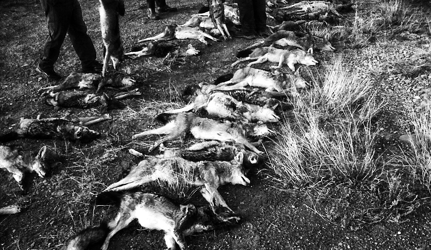 Letter to the Editor: Dear Professor Pretorius, let’s look at the facts, shall we?