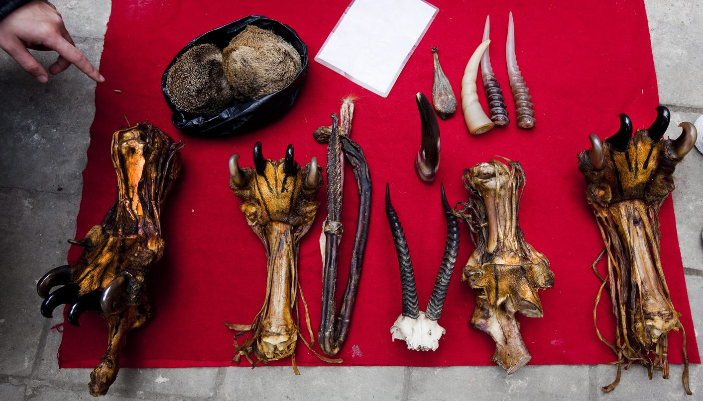 Markets of Death, Part Three: How China’s taste for wildlife feeds a killing frenzy