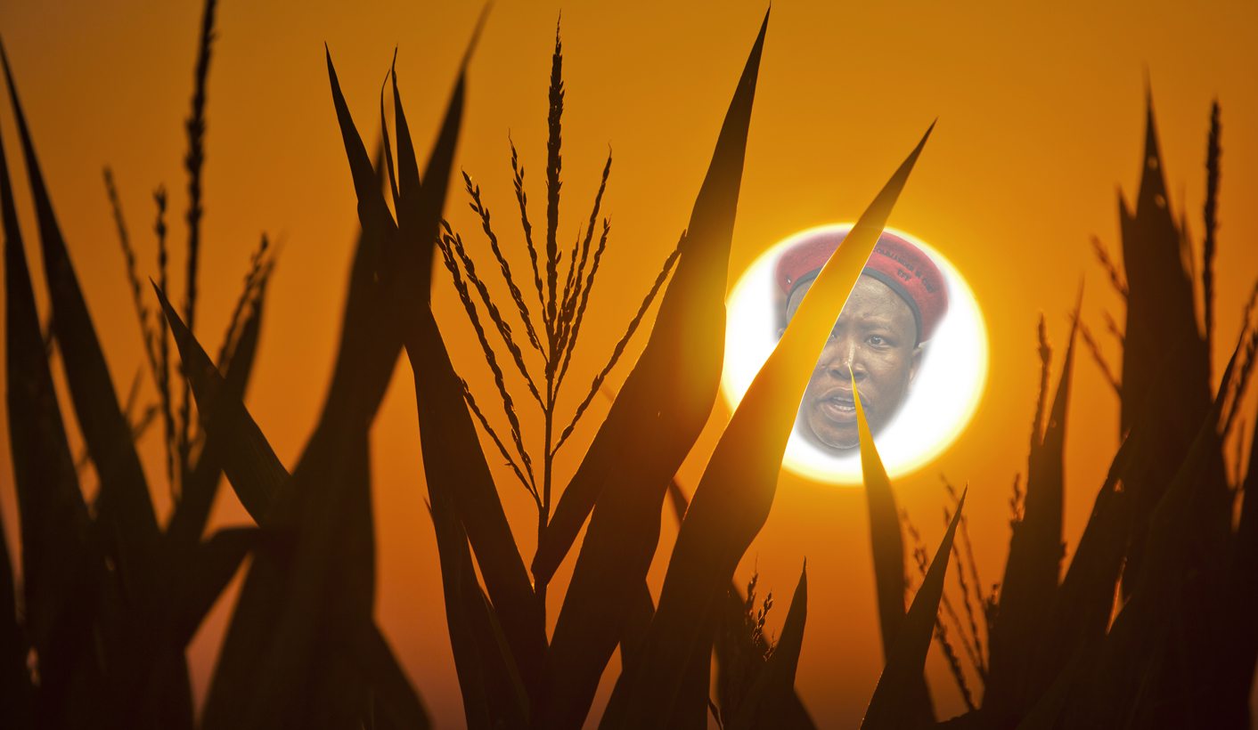 Sh*T the EFF will do: Ban genetically modified organisms