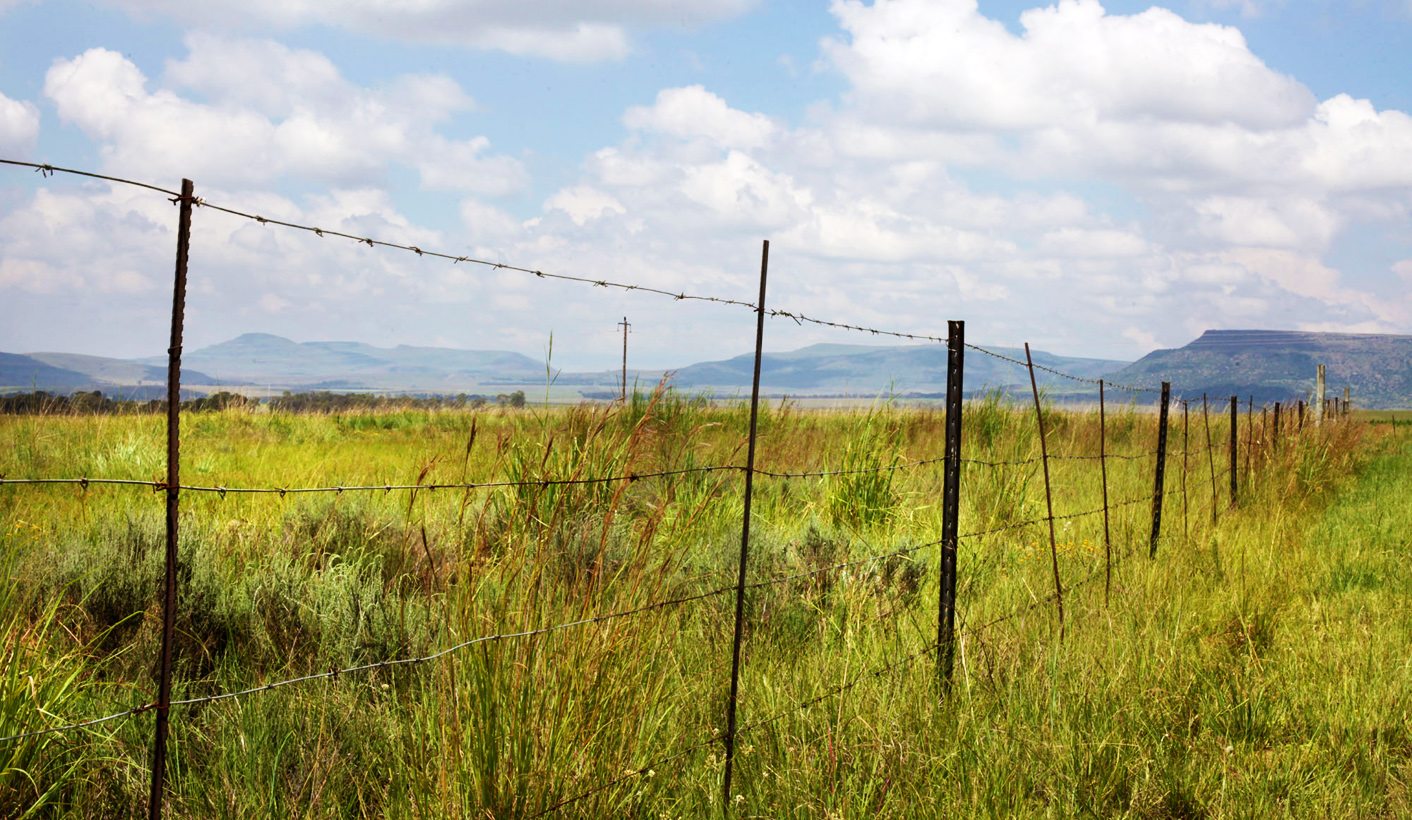 TRAINSPOTTER: Cow Patsy – How Ace Magashule, and his Gupta dairy scam in Vrede, explain Jacob Zuma’s final hours