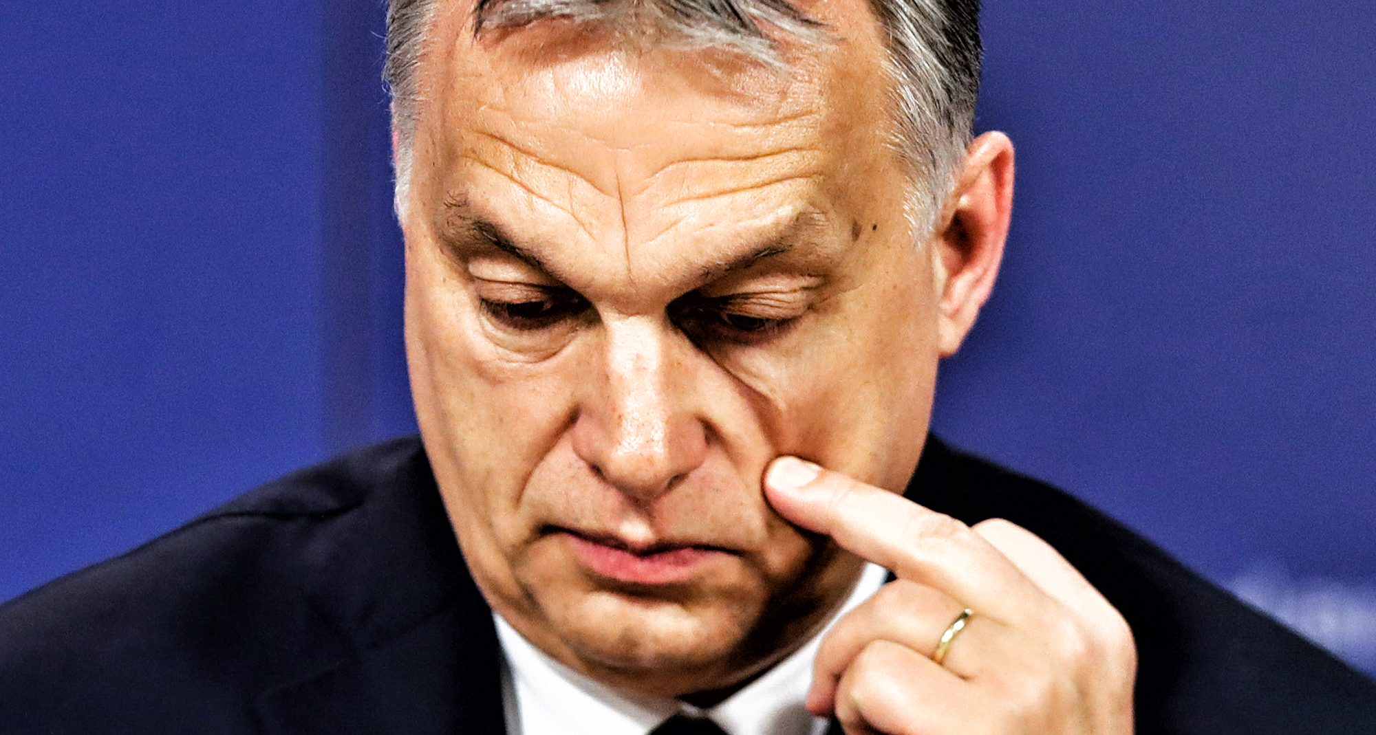 Financial prey for the populists