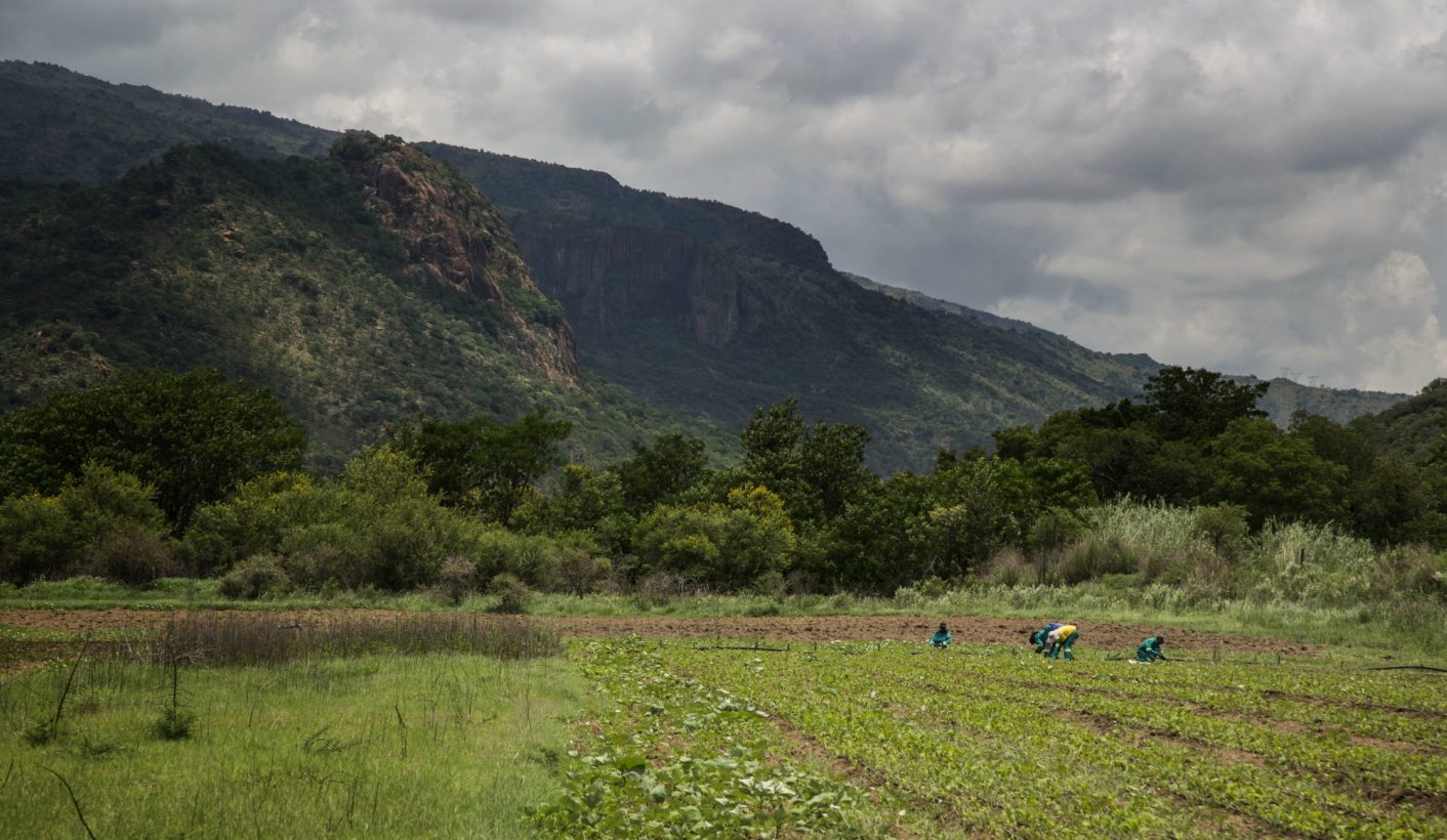 Letter to the Editor: Mr President, here is my guide on land expropriation without compensation