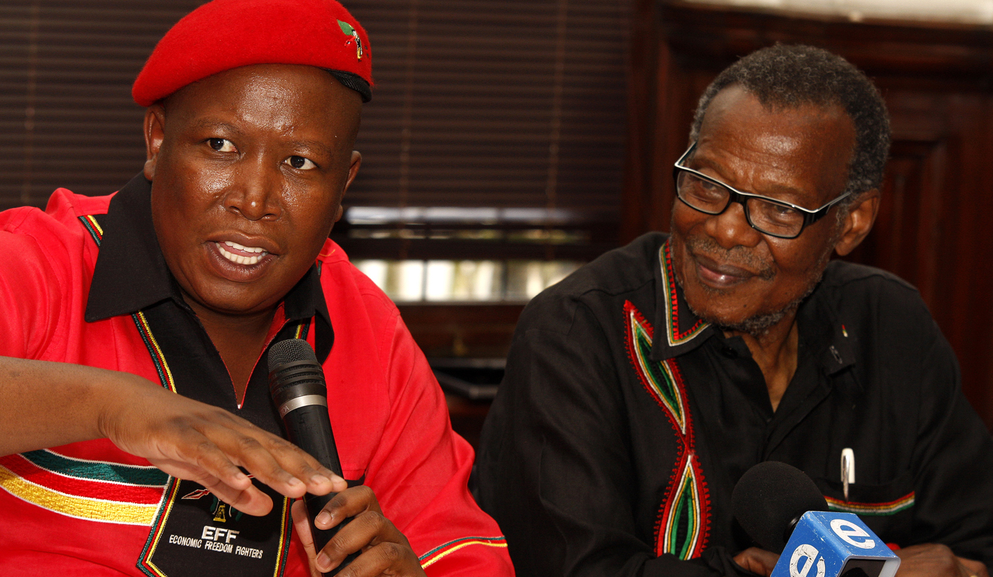Malema and Buthelezi: A wily bond, forged behind enemy lines