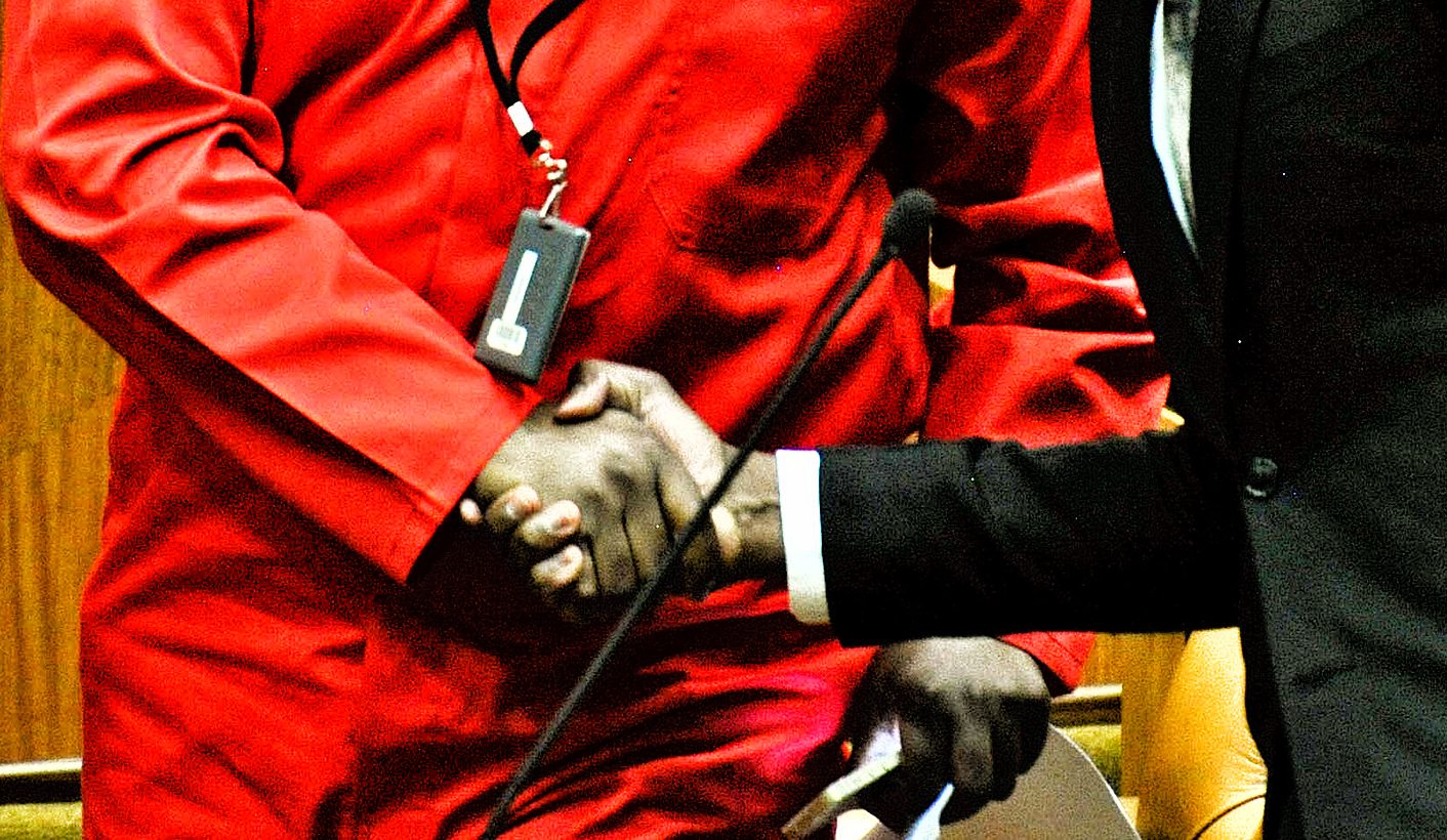 SA Opposition: Smart alliances needed to turbo-charge the Second Coming