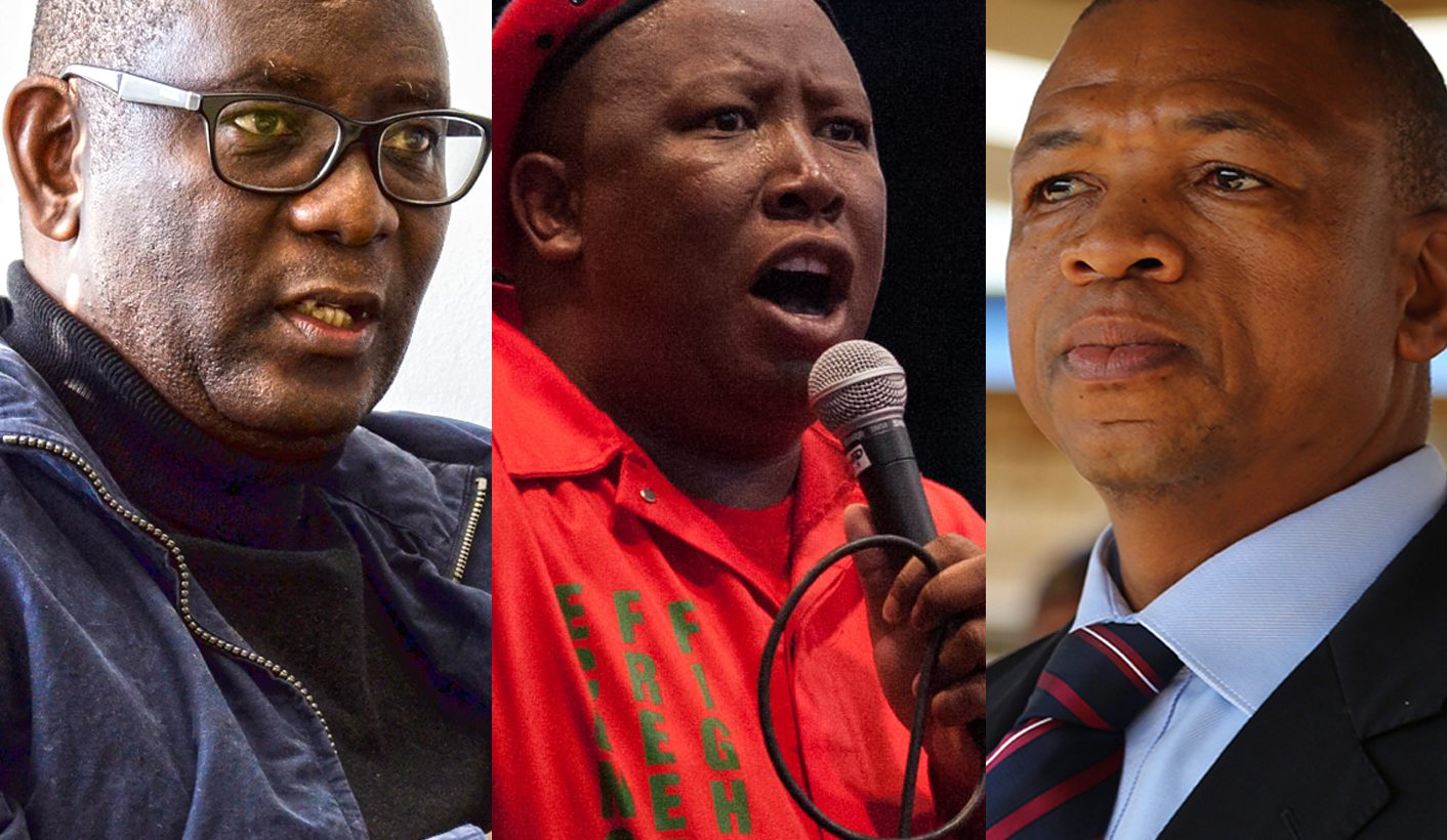 Ranjeni-Vavi-Malema-overthrow