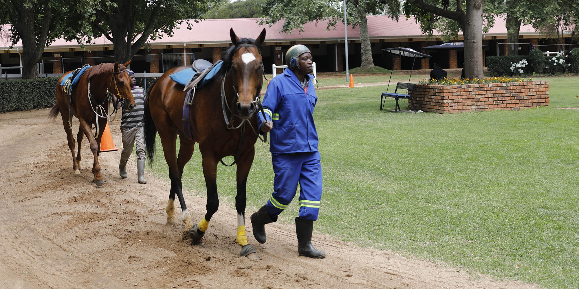 Phumelela Gaming & Leisure temporarily lays off most of its workforce