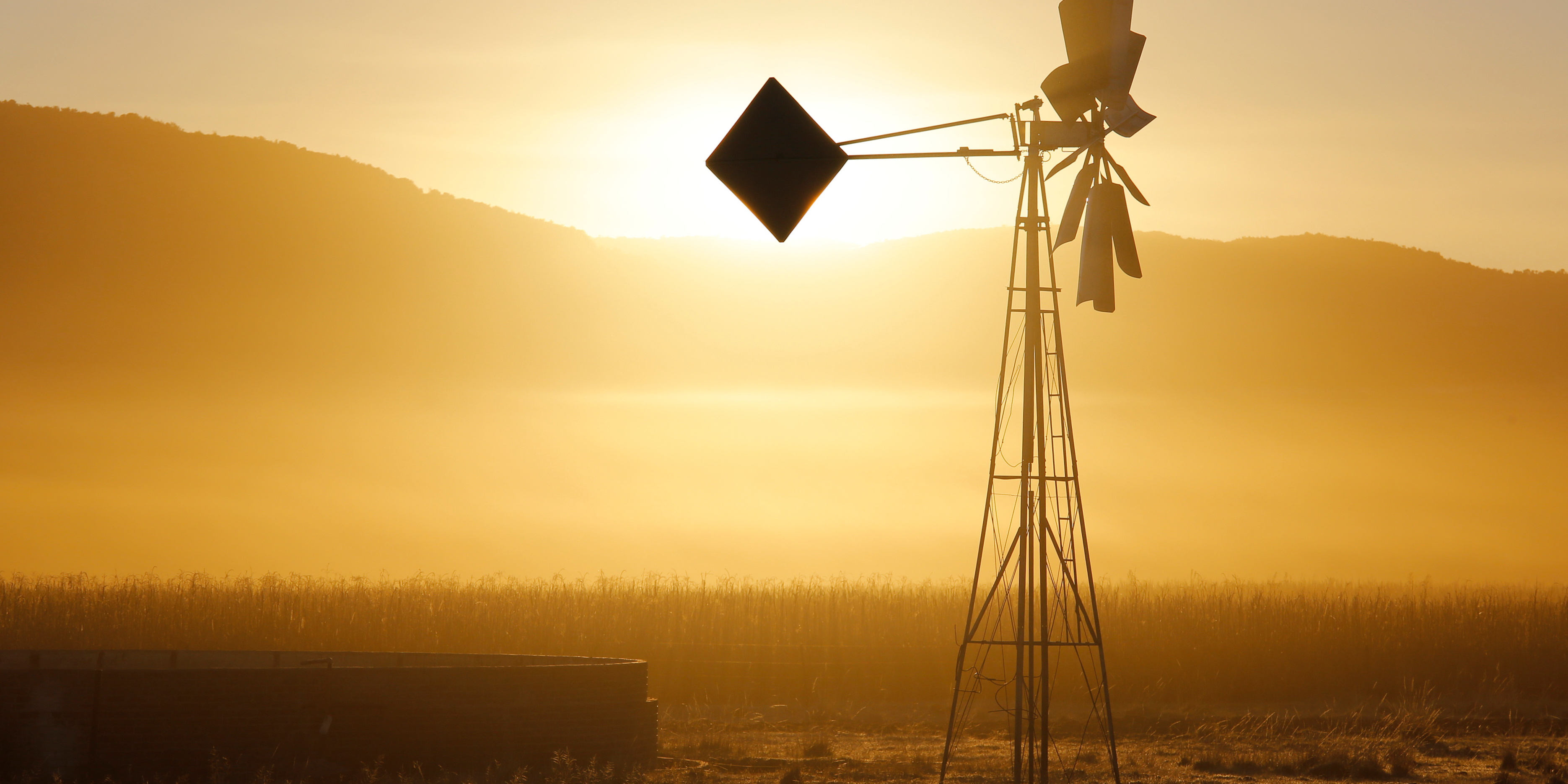 With billions budgeted for land reform, major beneficiaries have been wealthier men, Parliament hears