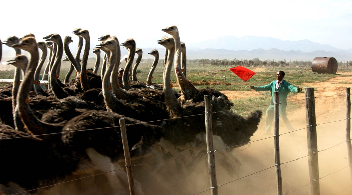 New tenure reform legislation must be enacted