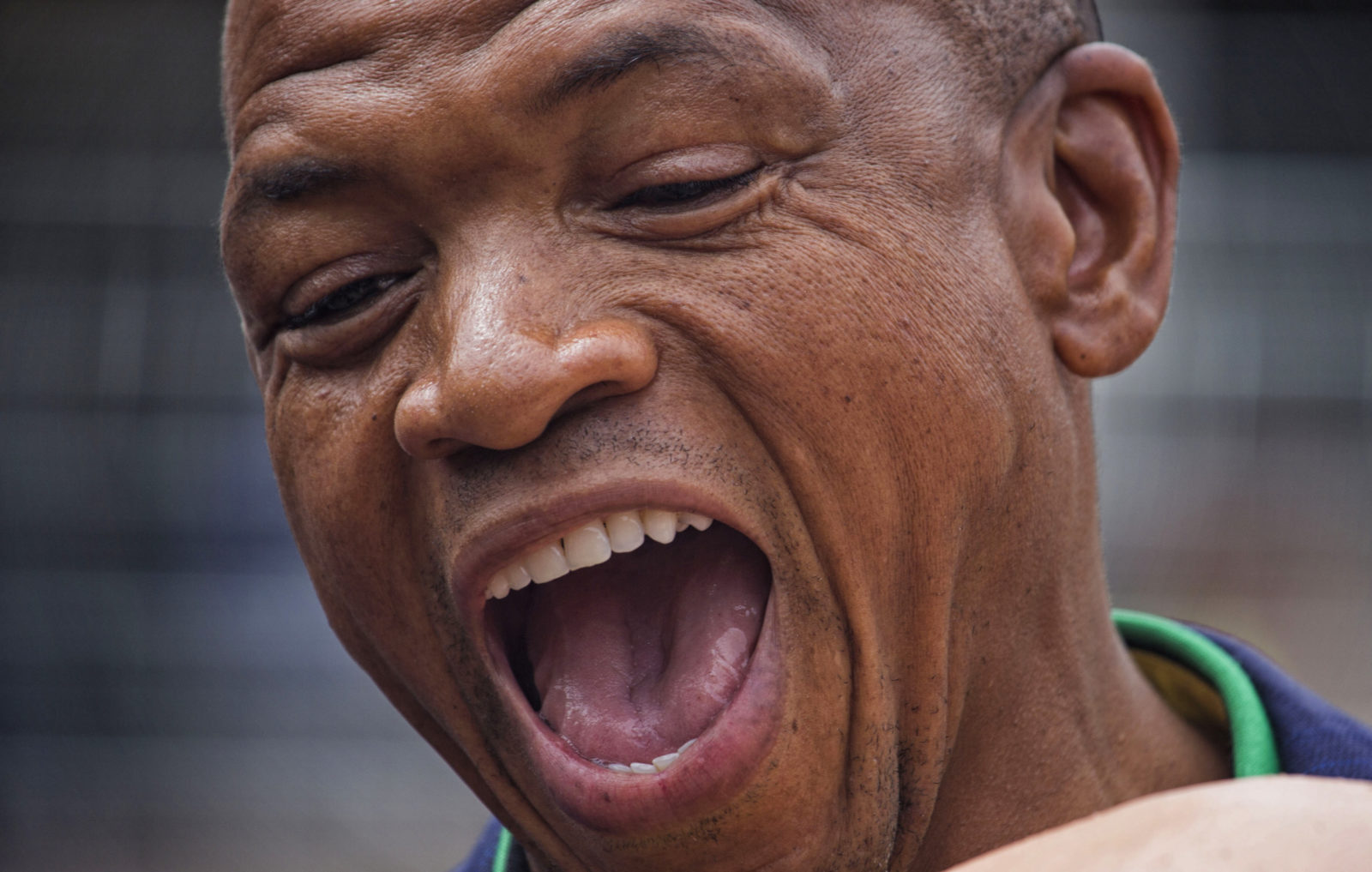 North West ANC disbands as all eyes turn to 2019 elections