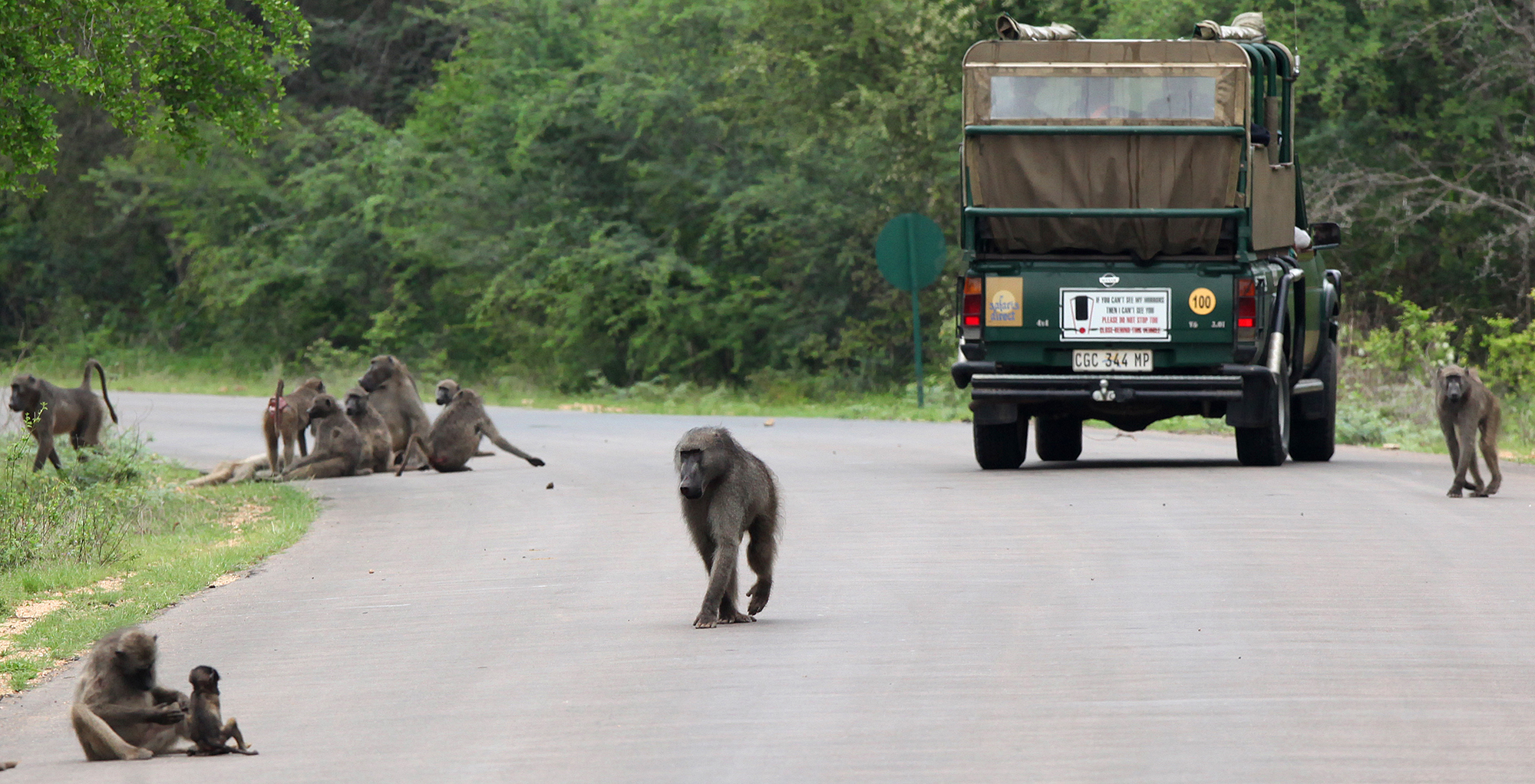 South African parks and reserves face a renewed struggle for survival