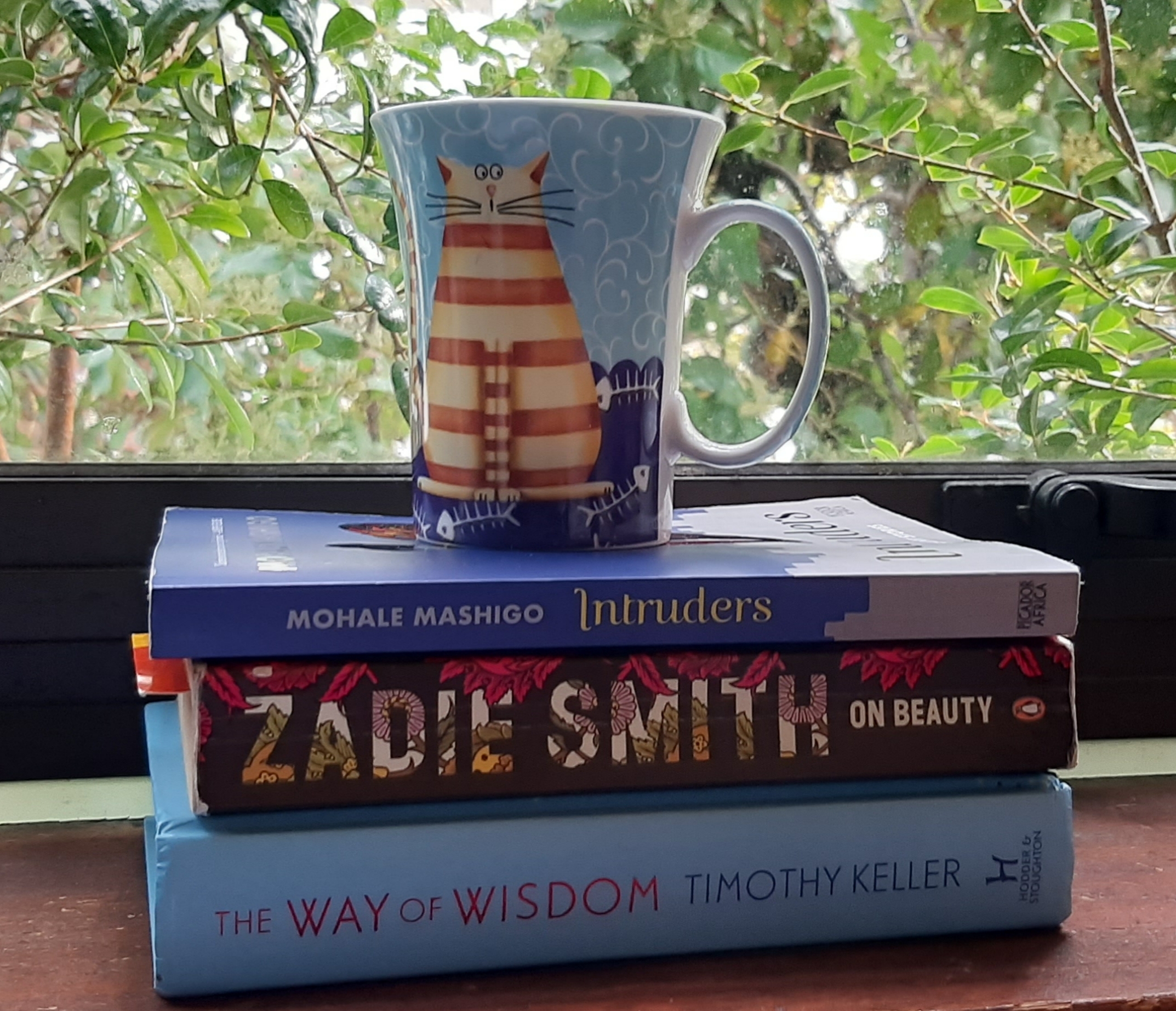 Finding comfort in unexpected scenarios