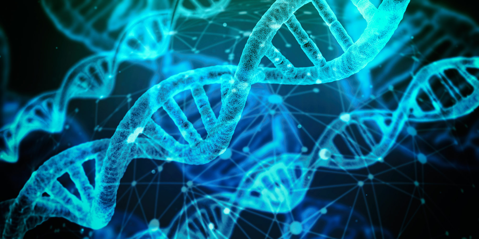 State fund sows the seeds of biotech investment