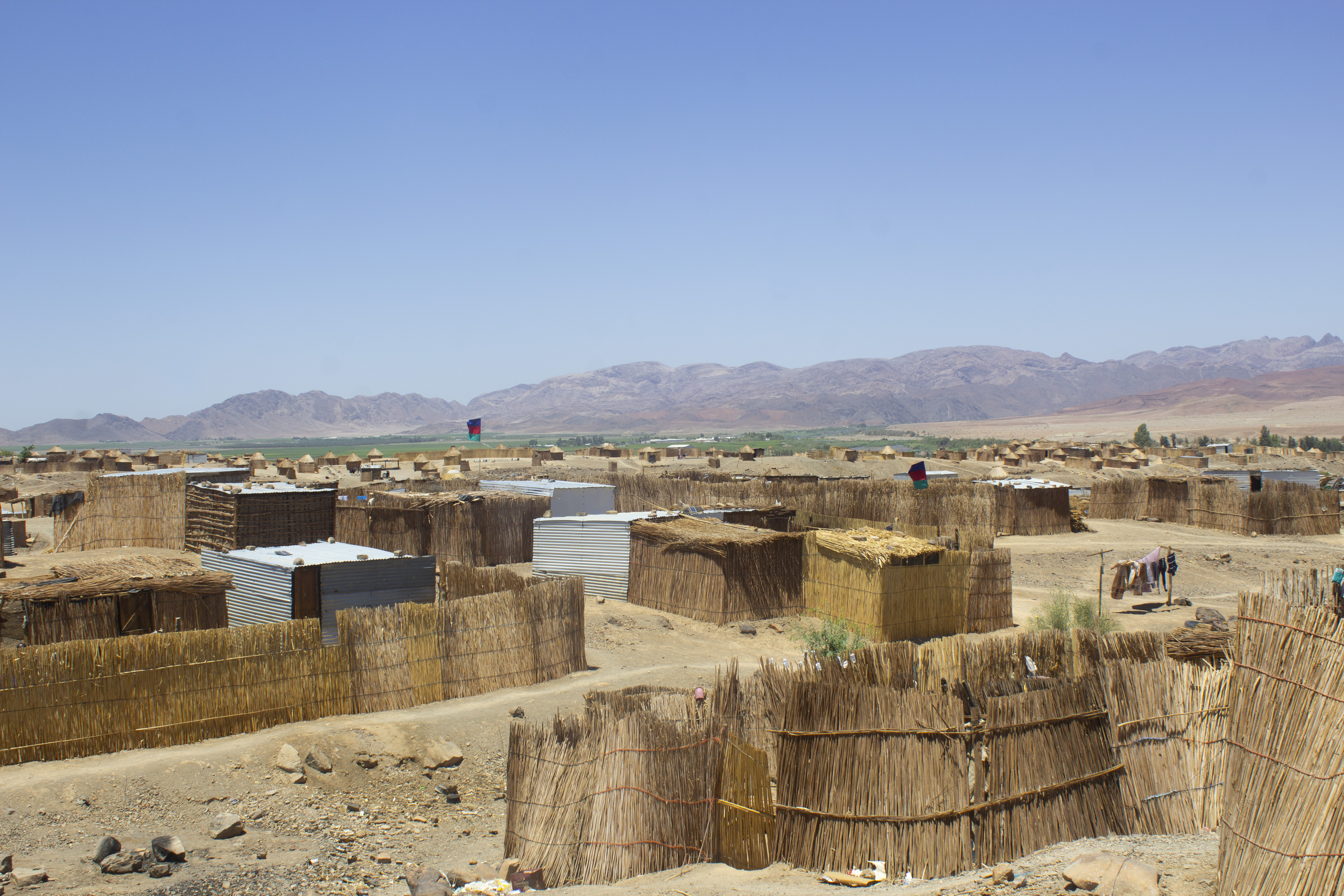 Grape crop brings in millions but farmworkers live a harsh life