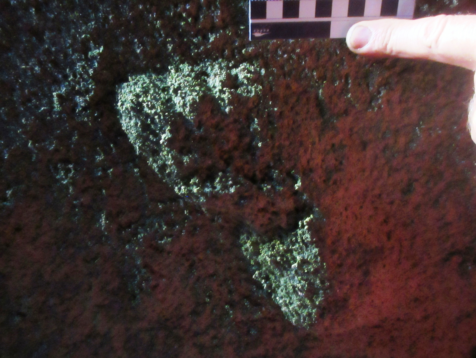 An ancient preserved human foot print. (Photo:  Dr Charles Helm)