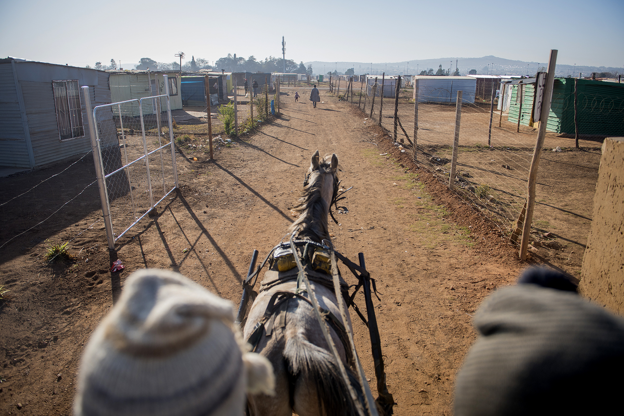 Coal deliveries straight from the horse’s mouth