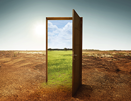 Tebogo-Naledi-Article-Image