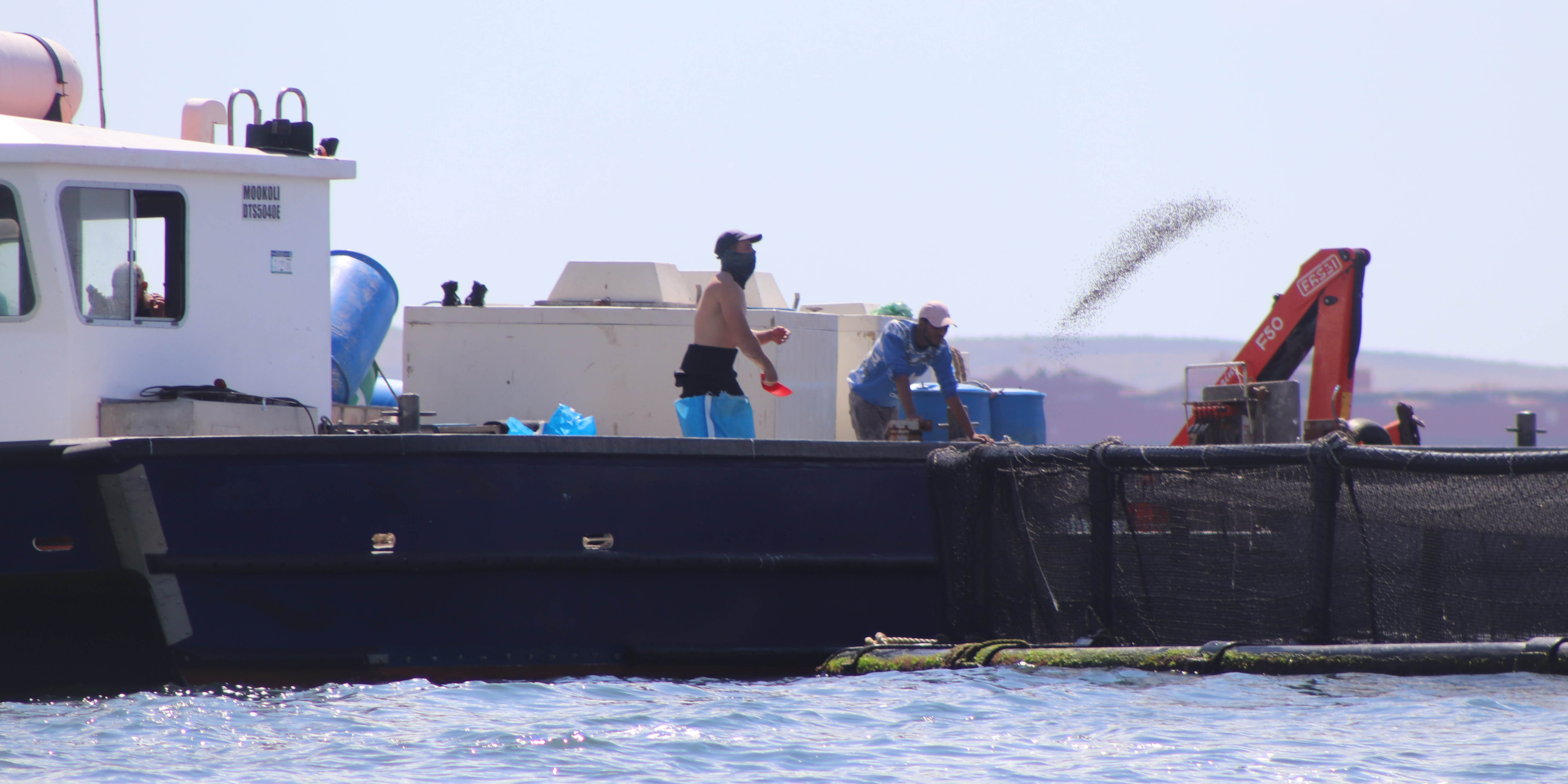 Local fishers and activists want Langebaan fish farms stopped —but government mussels in
