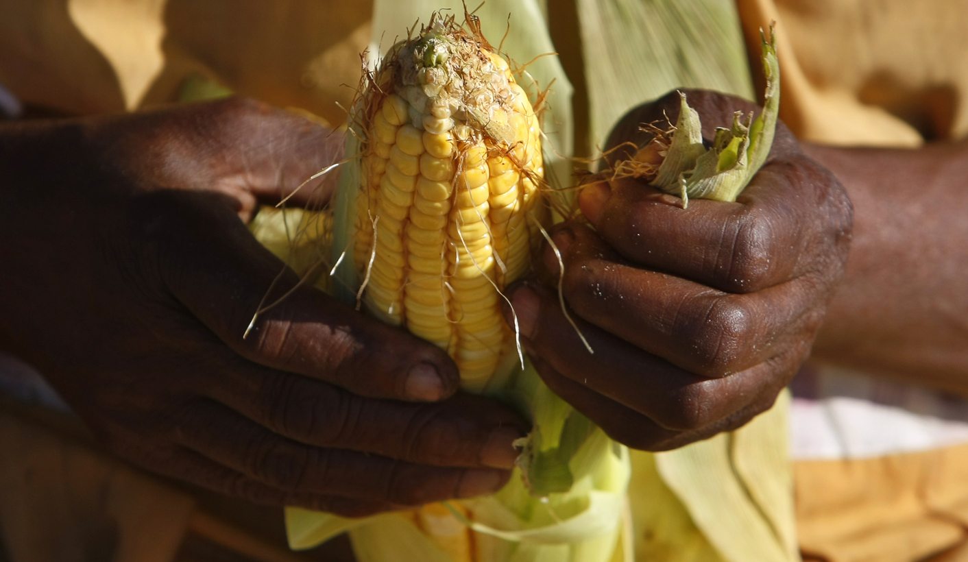 Food prices continue to increase with no clampdowns in sight 