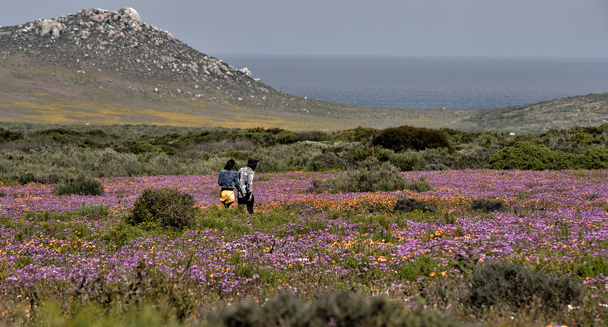 Mega climate shocks for SA biodiversity — government report