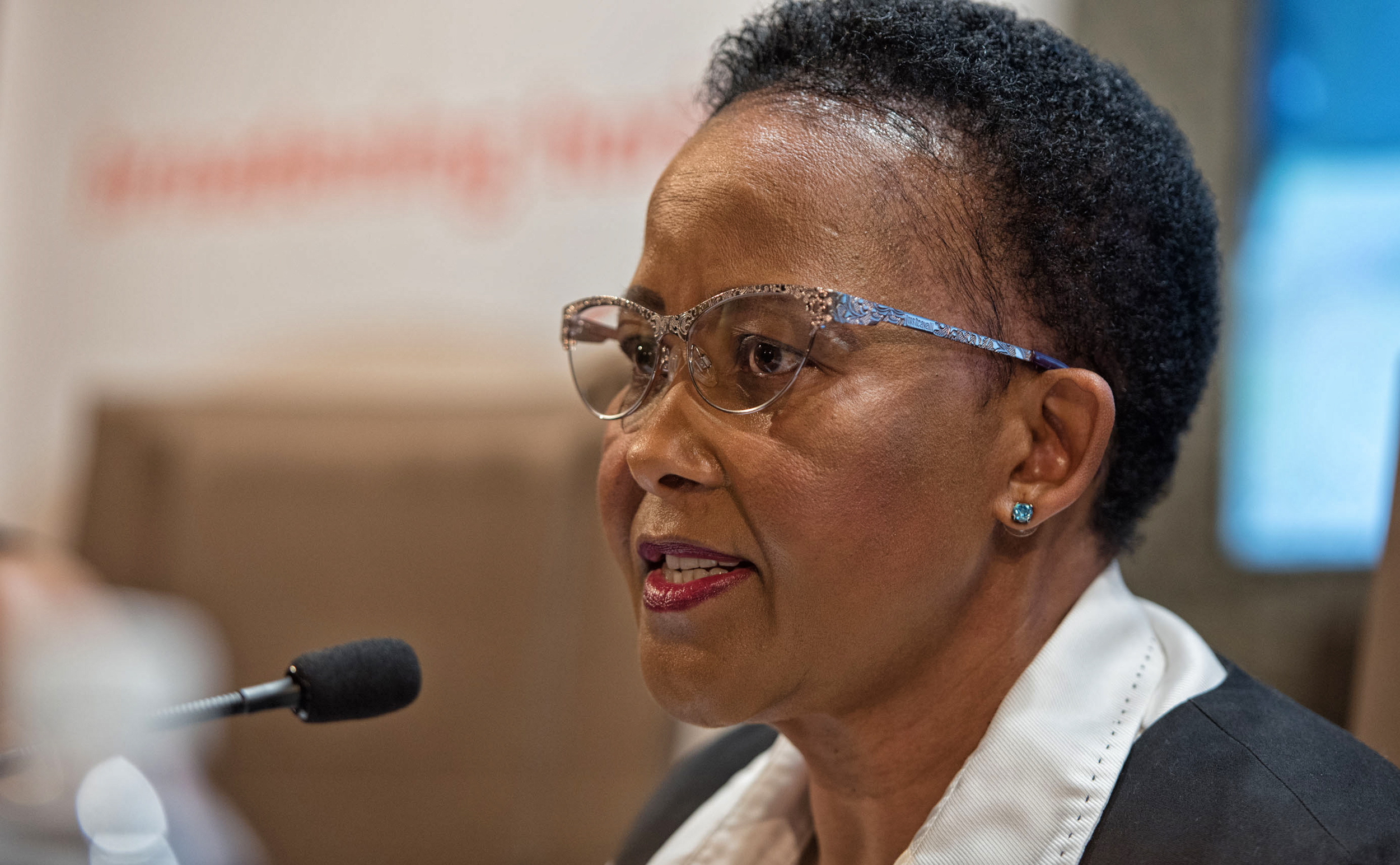 An inquiry is needed to probe soccer violence – sports minister