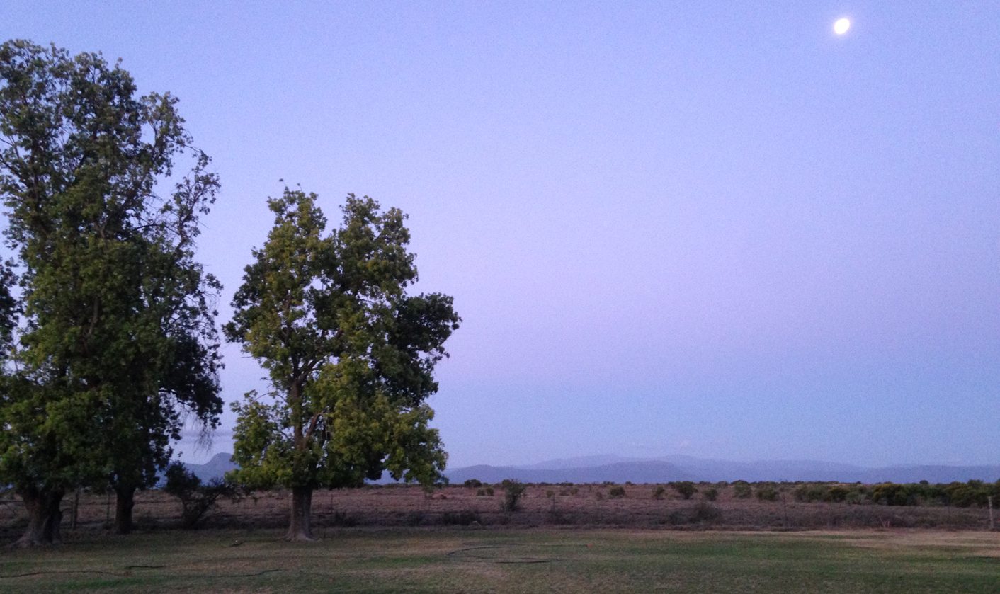 Travelling the Eastern Cape: Spekboom, windmills and hope