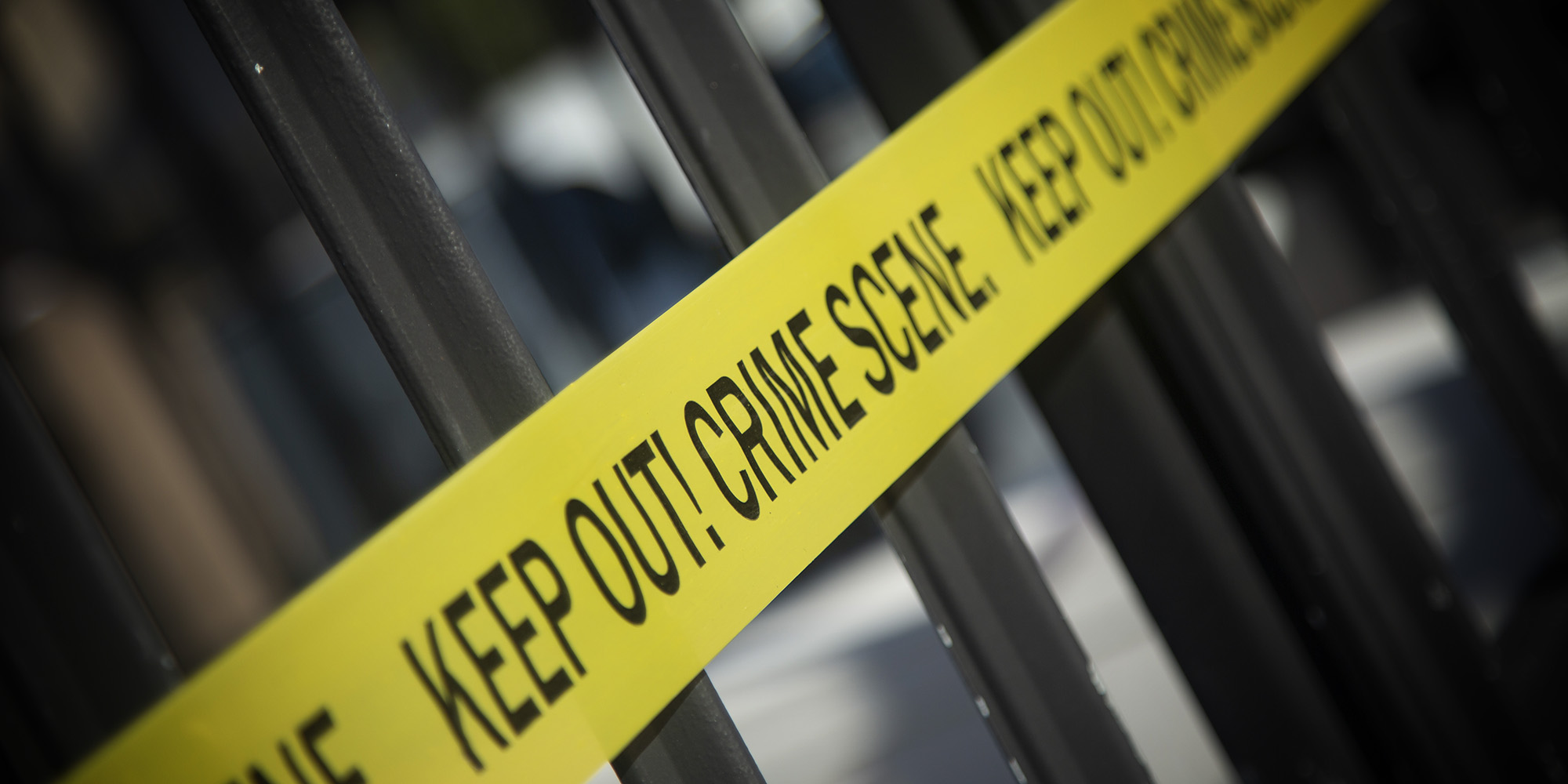 (Photo: Daily Maverick)