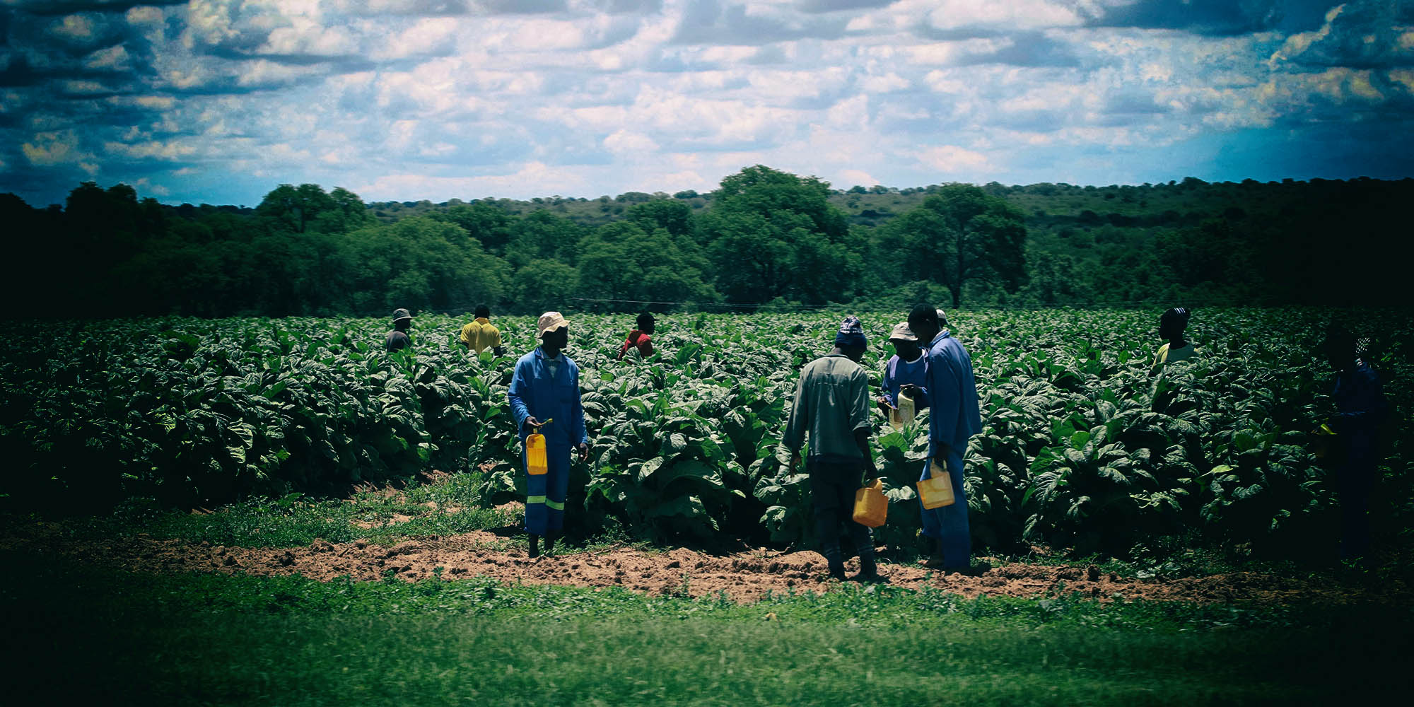 Brexit risks to SA agriculture are now minimal, but not eliminated