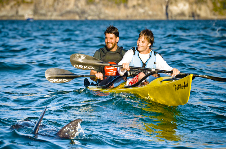 a032b0af37b01d49075ff8f31f10fbfd