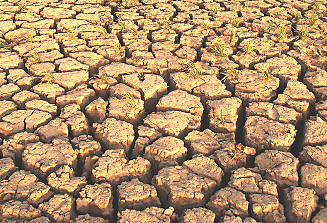 ad2990615d296e6f7cb413aa4471594d