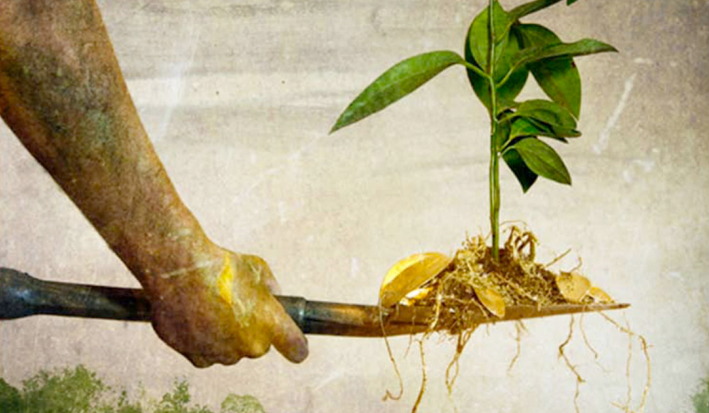 Film goes green: Cape Town’s newest documentary festival