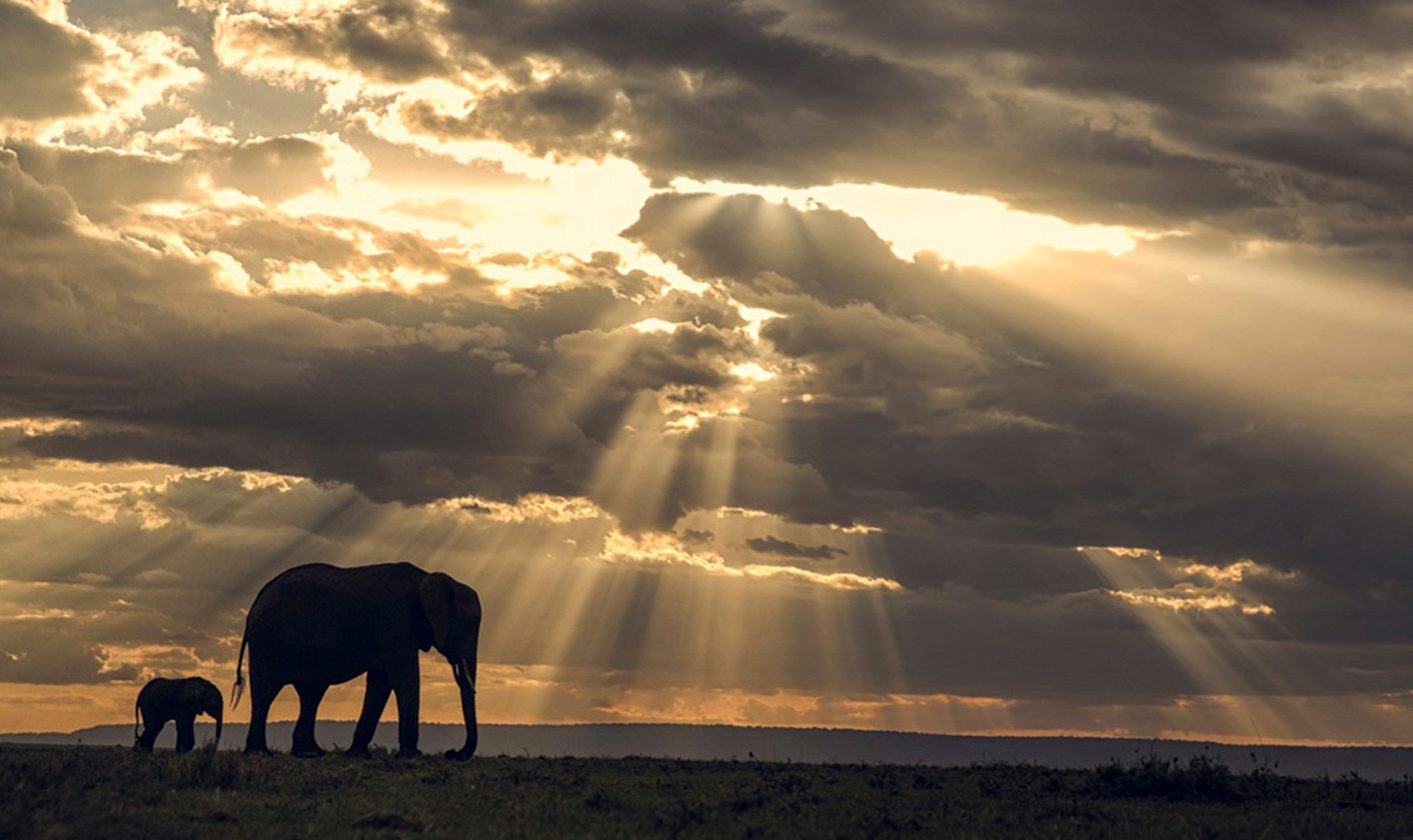 Angama Mara: Tourism in the time of terrorism