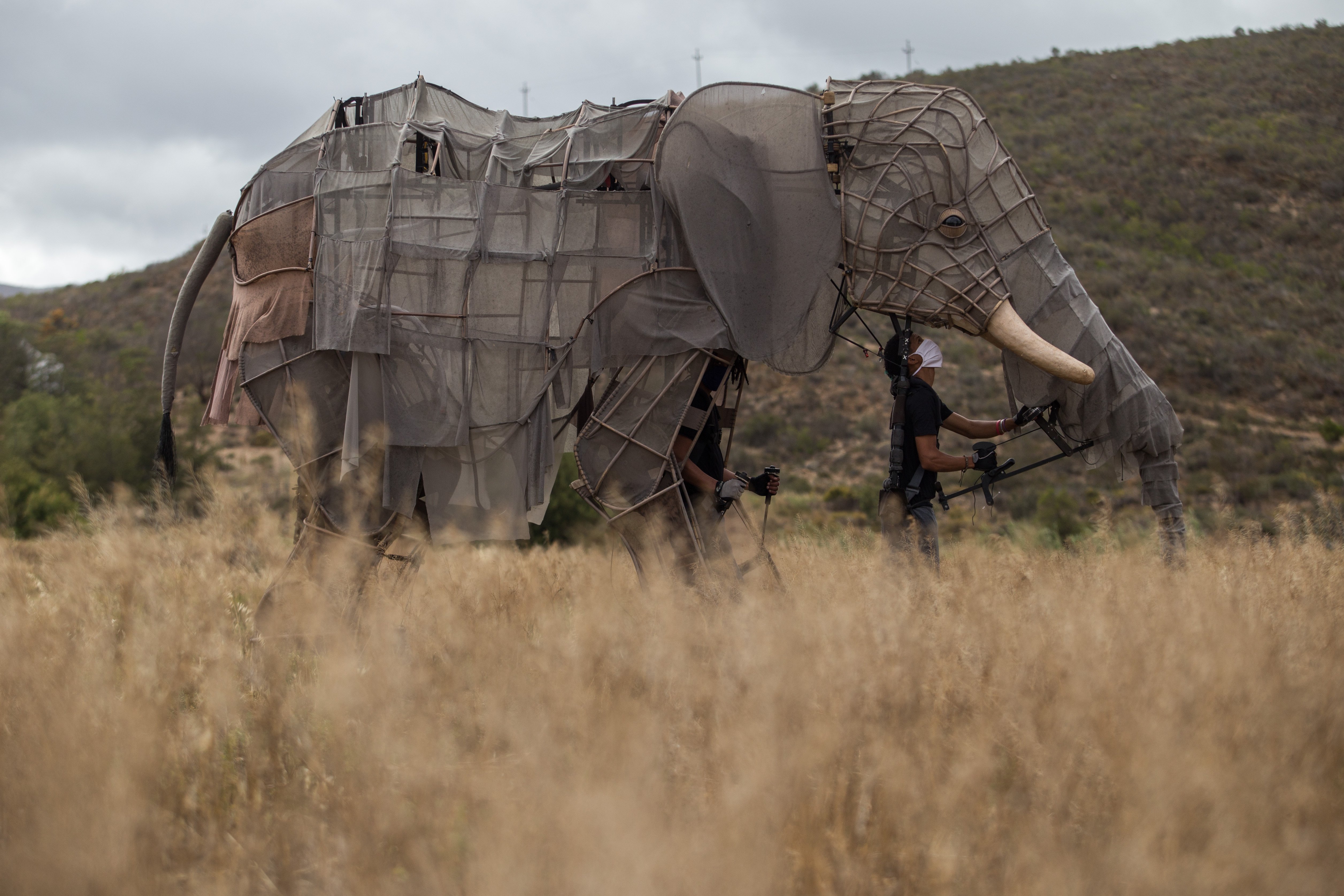 Puppets bring together a town divided by apartheid
