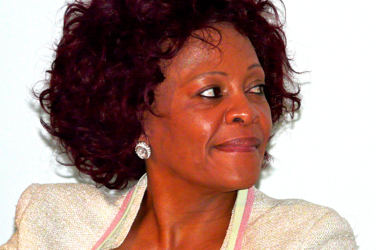 Eighteen months later, Gauteng premier talks tough on corruption, but defers responsibility