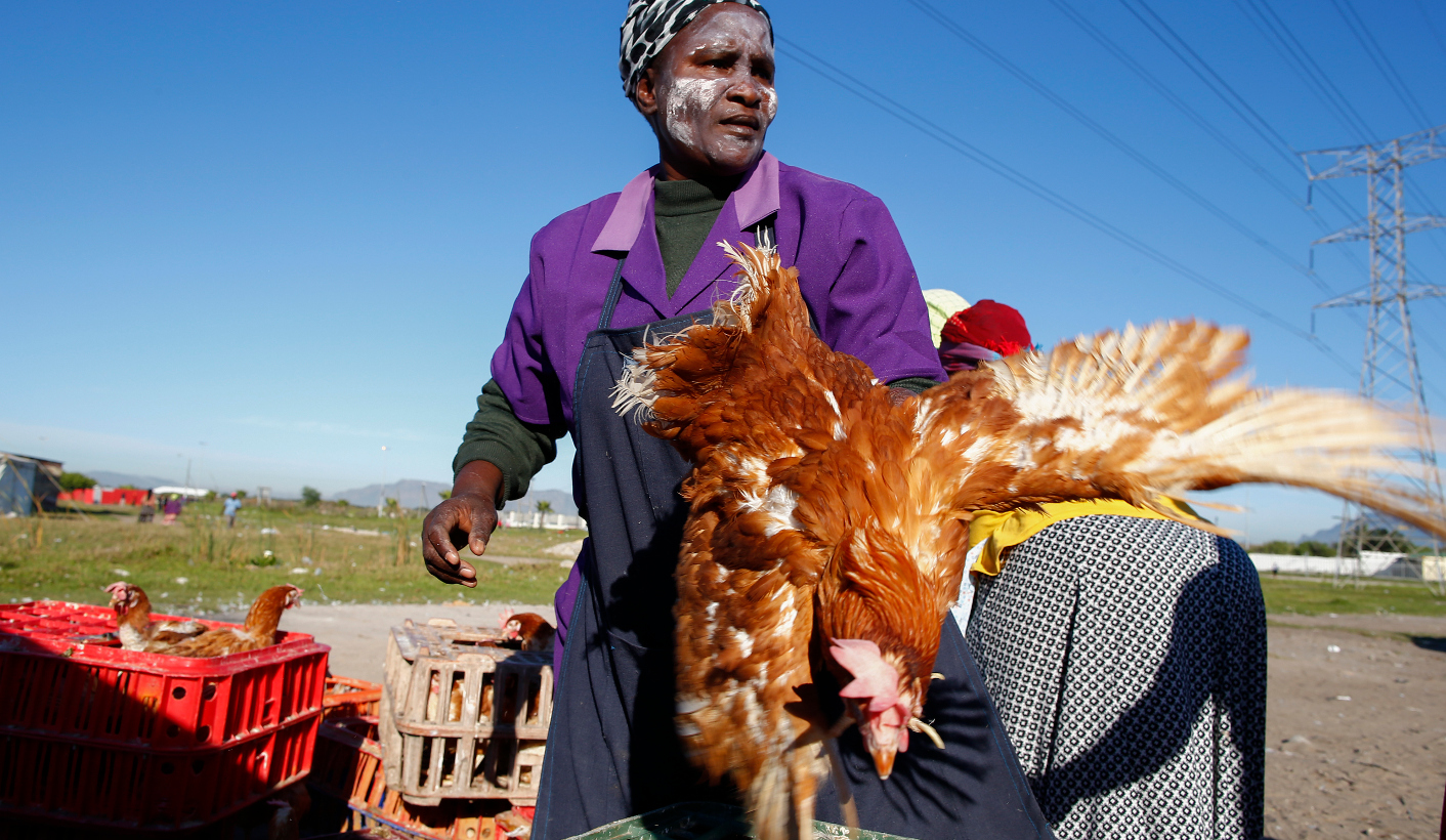 Bird Flu : Outbreak leaves a ‘fowl’ taste in the mouth