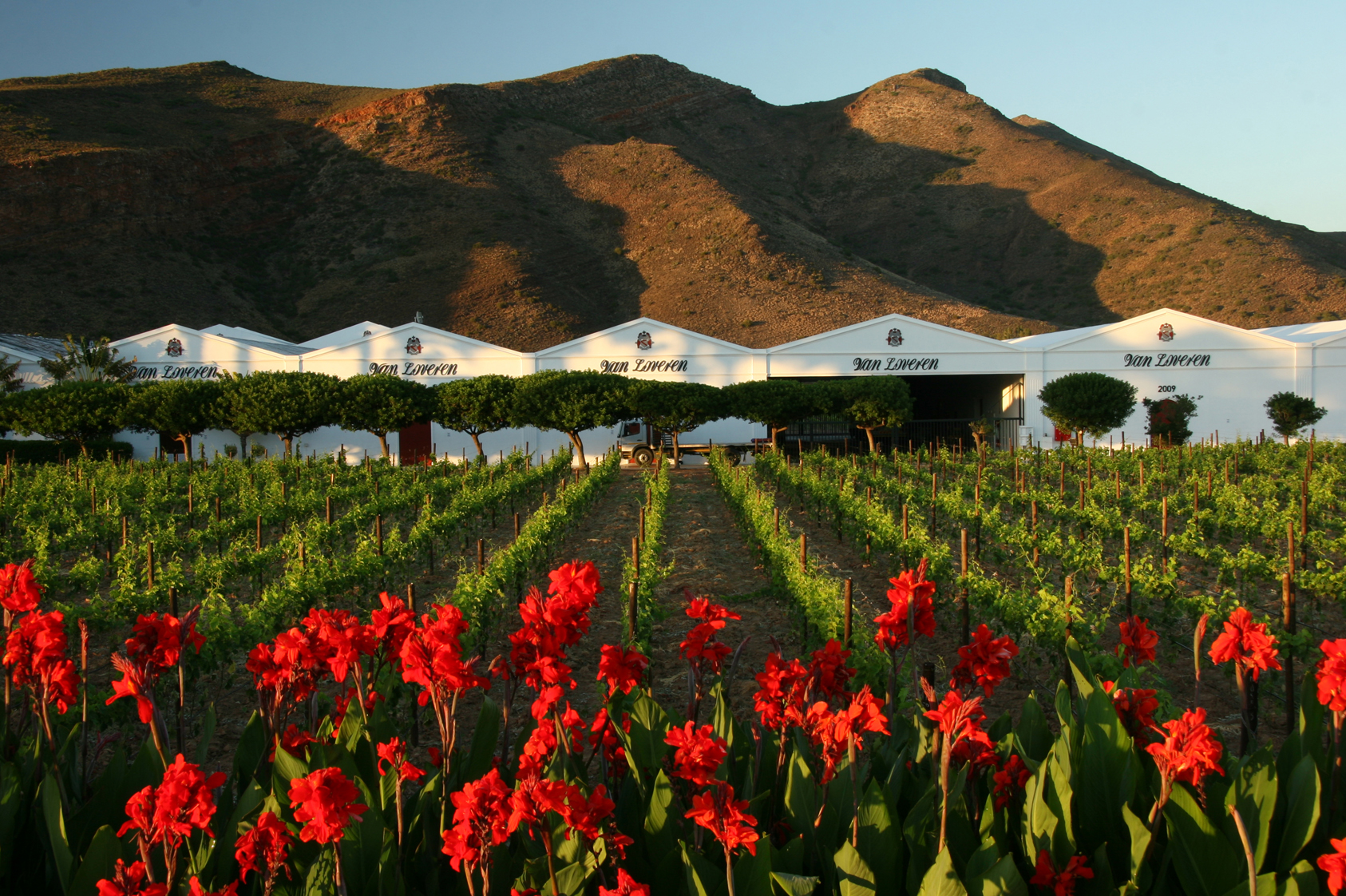 Wine exports are now legal, or are they?